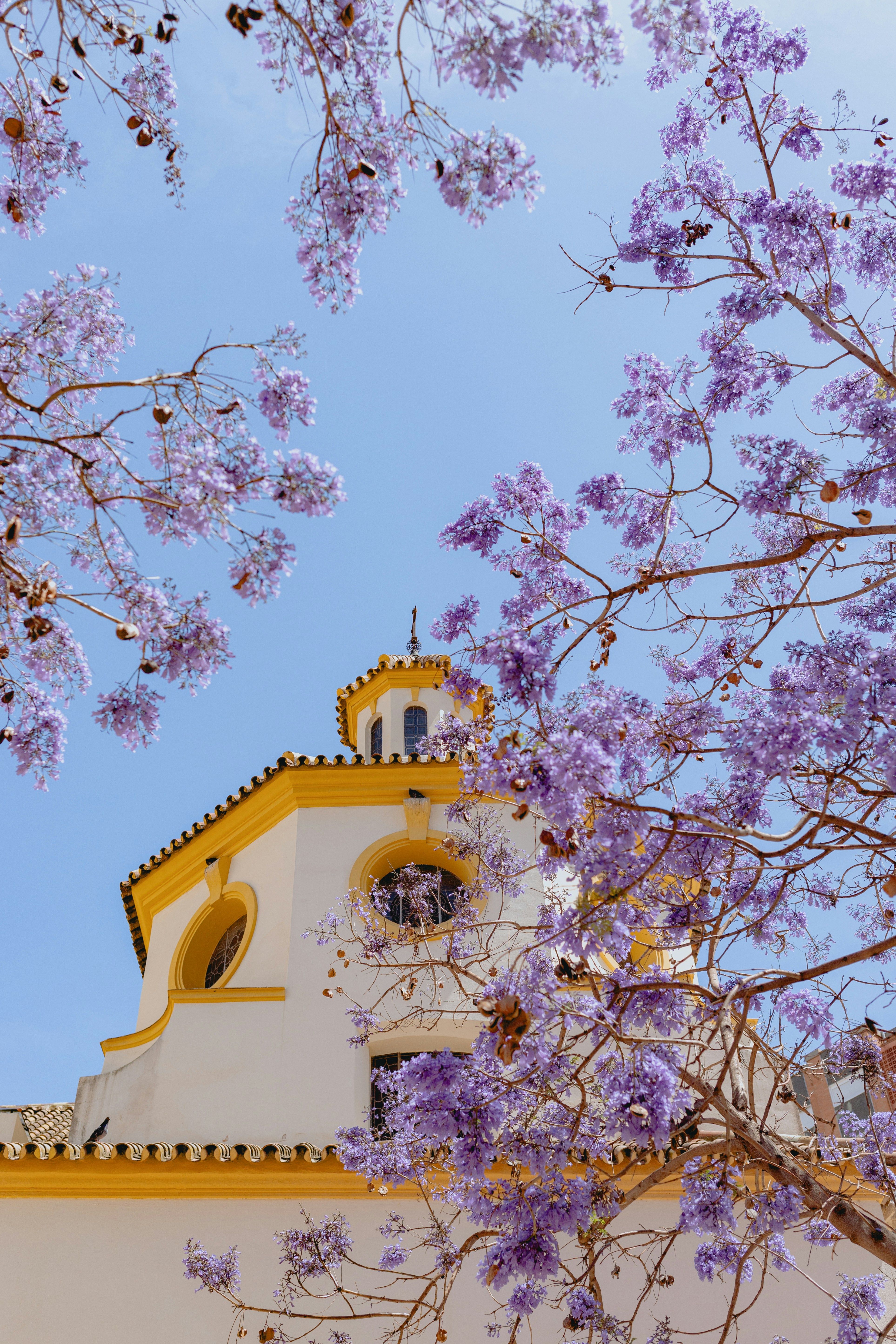 Photo by juliamatuzova