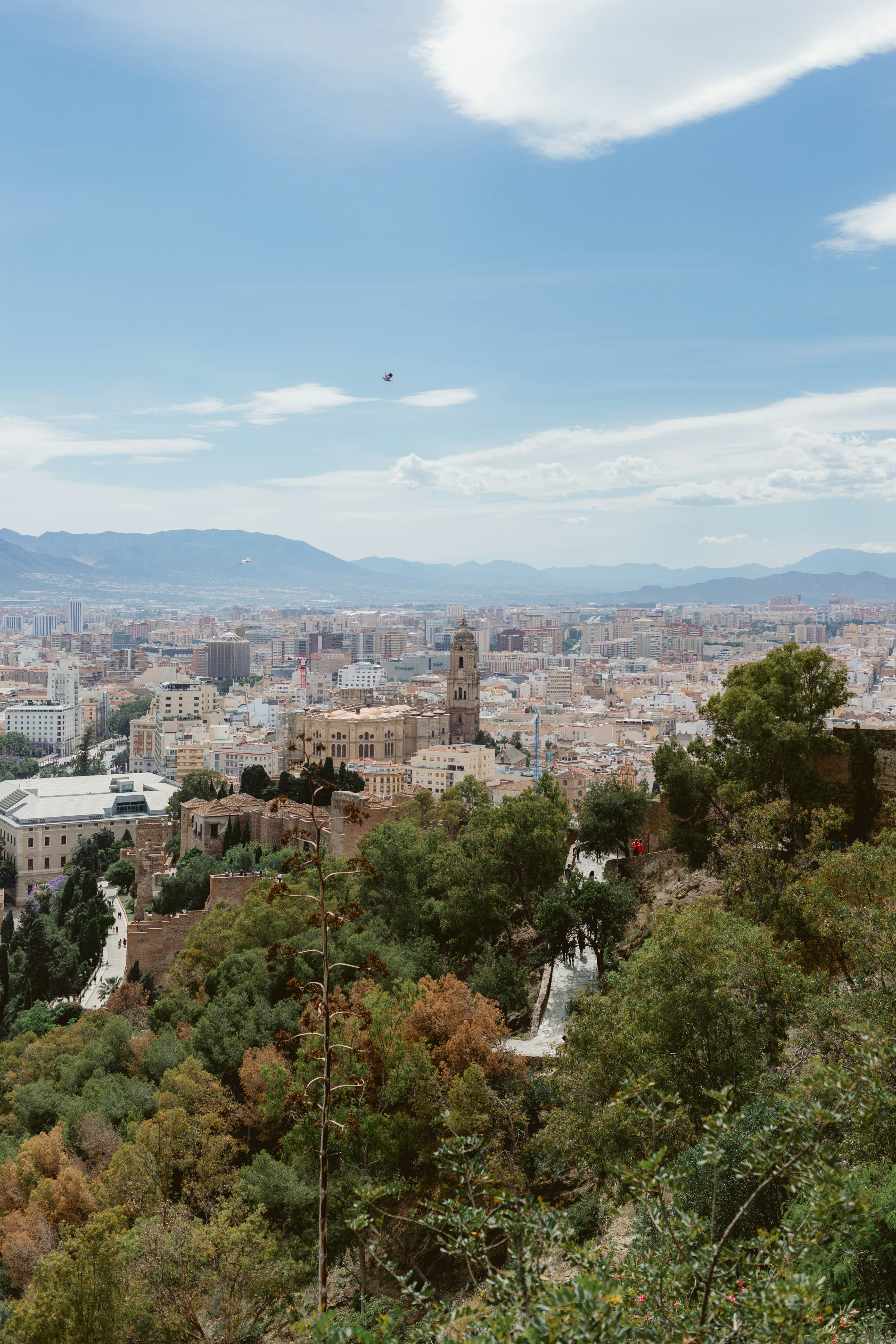 Photo by juliamatuzova