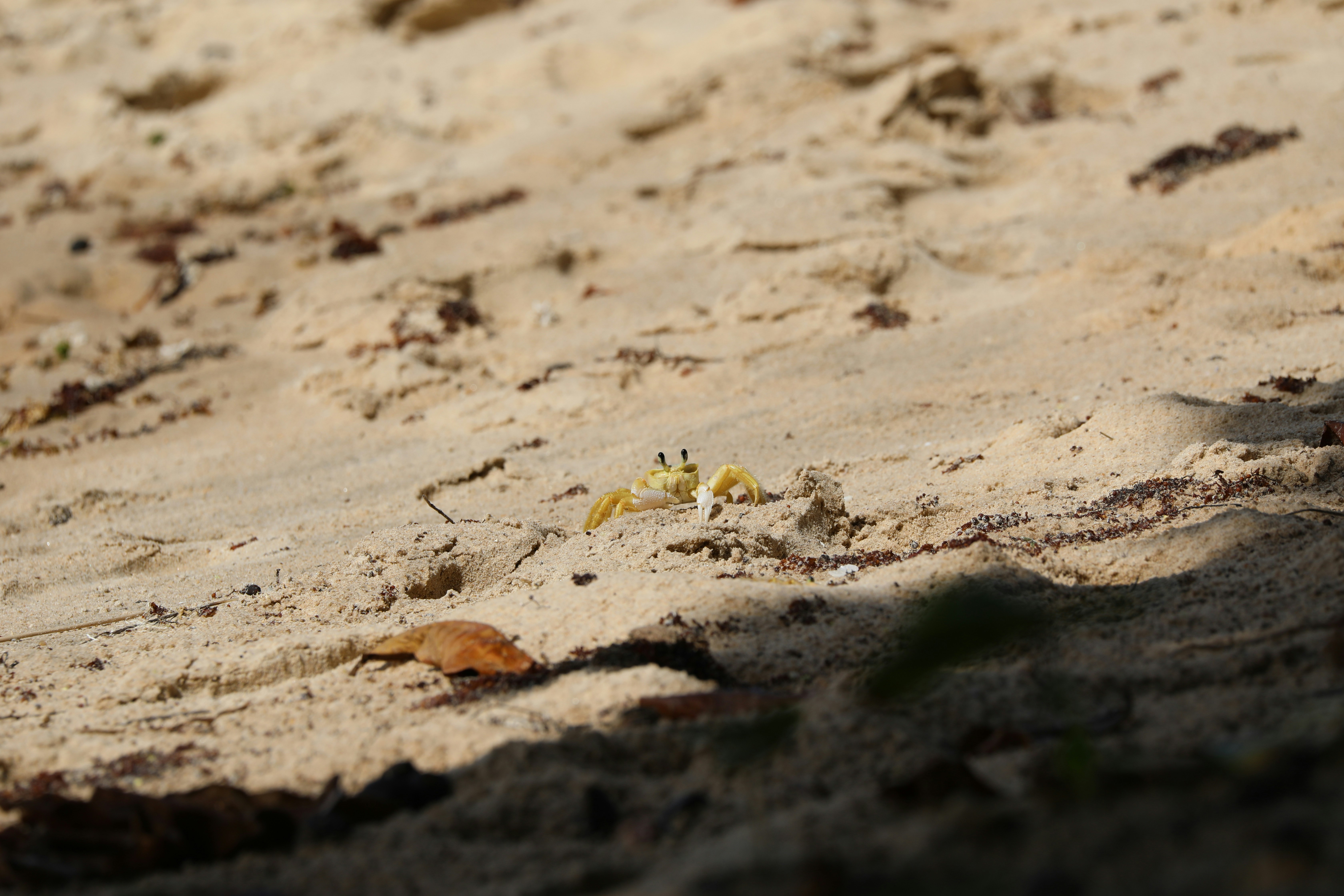 Photo by marcusdallcol