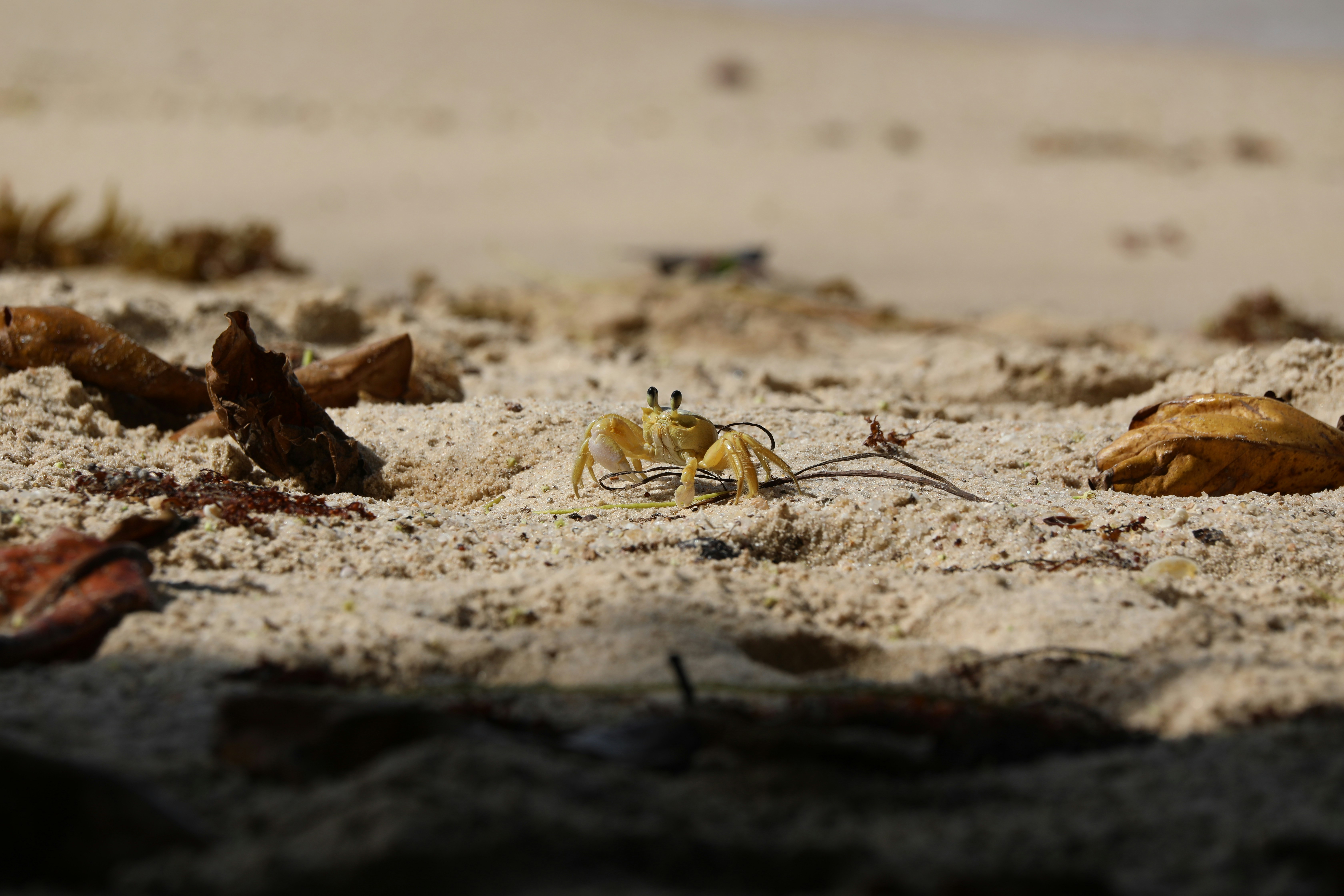 Photo by marcusdallcol