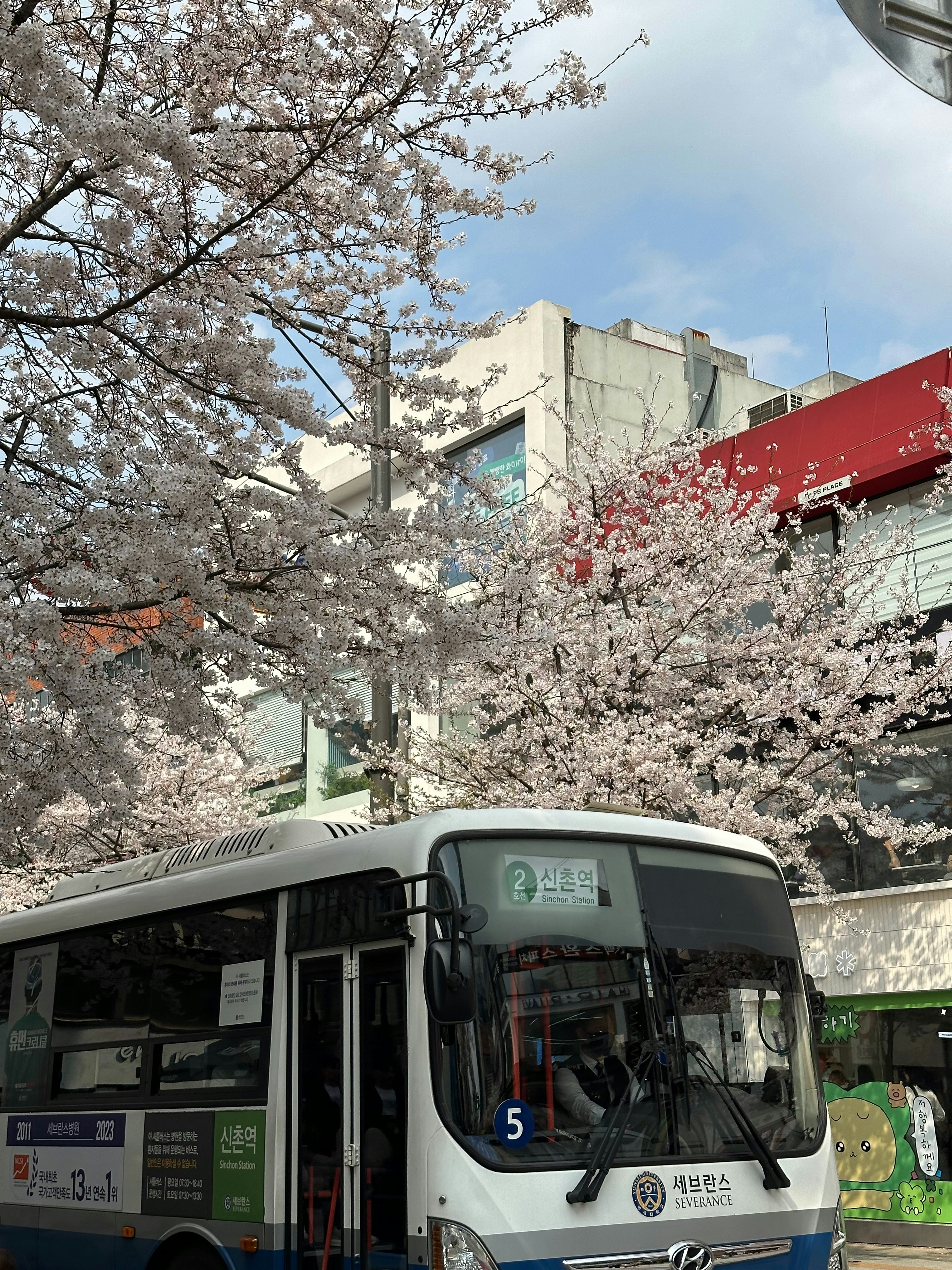 Photo by skclswl