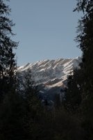 a snow covered mountain with trees in the foreground