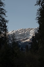 a snow covered mountain with trees in the foreground