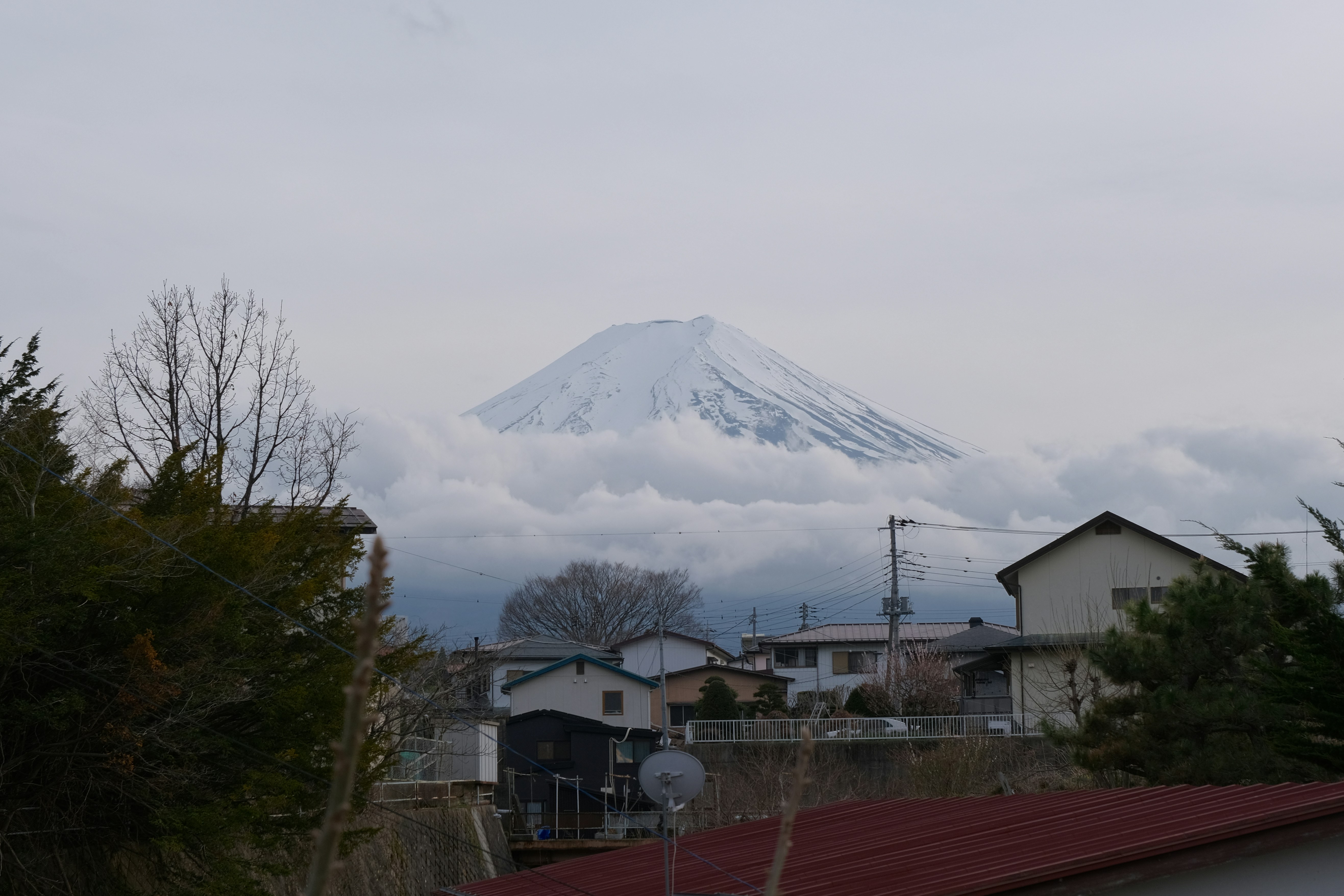 Photo by saynotta