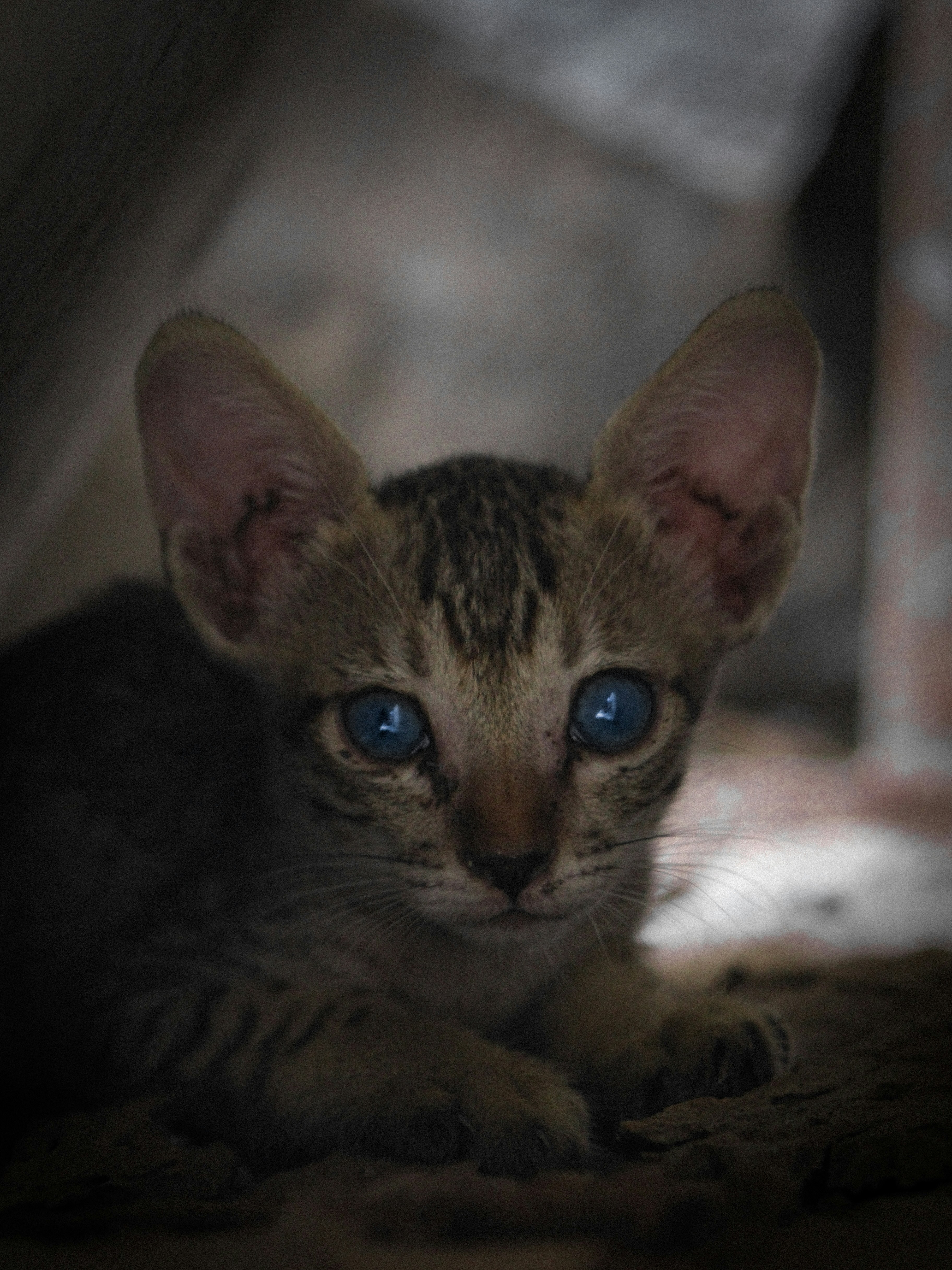 Setting Boundaries Early (image credits: unsplash)