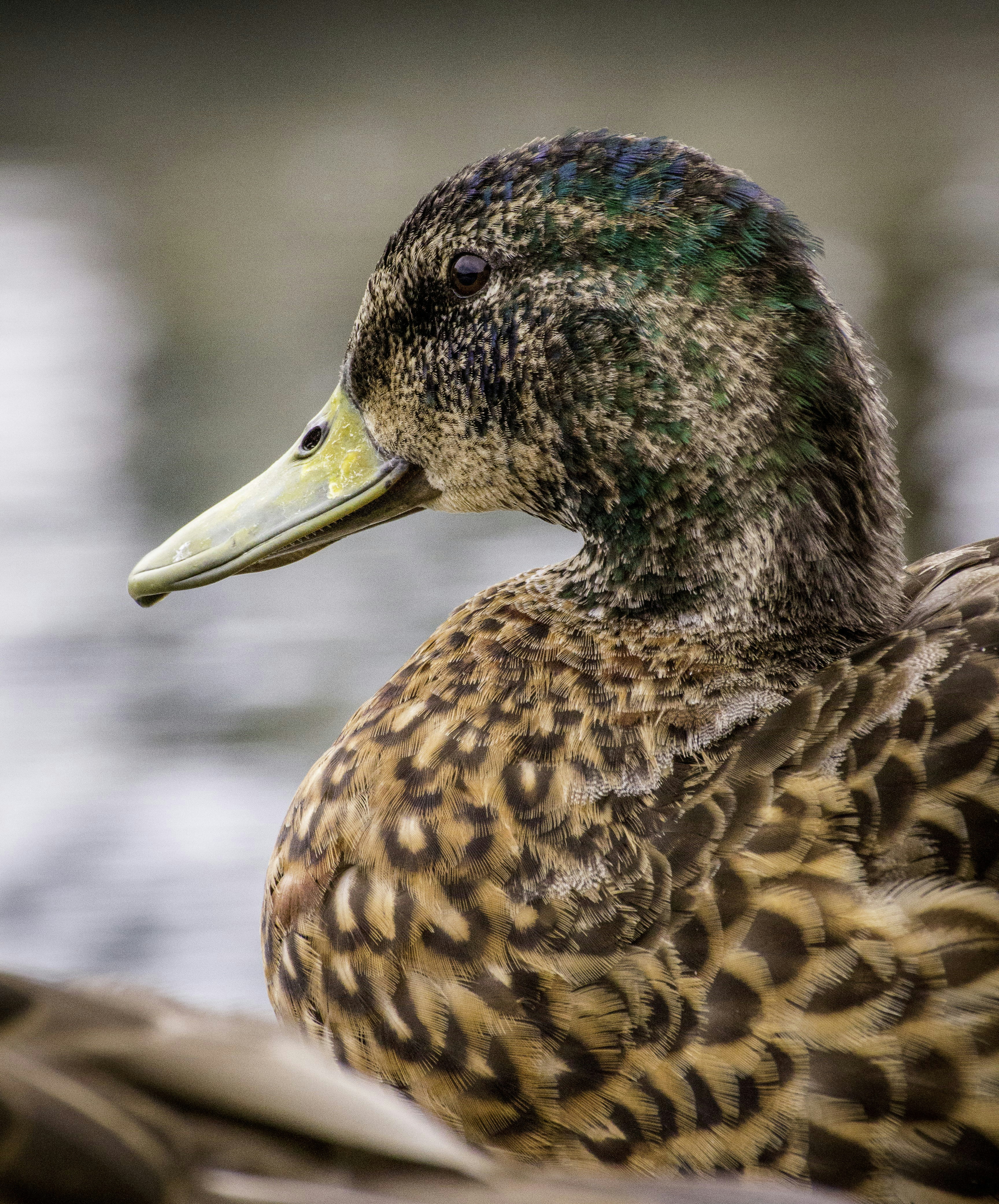 Photo by mlcphotography88