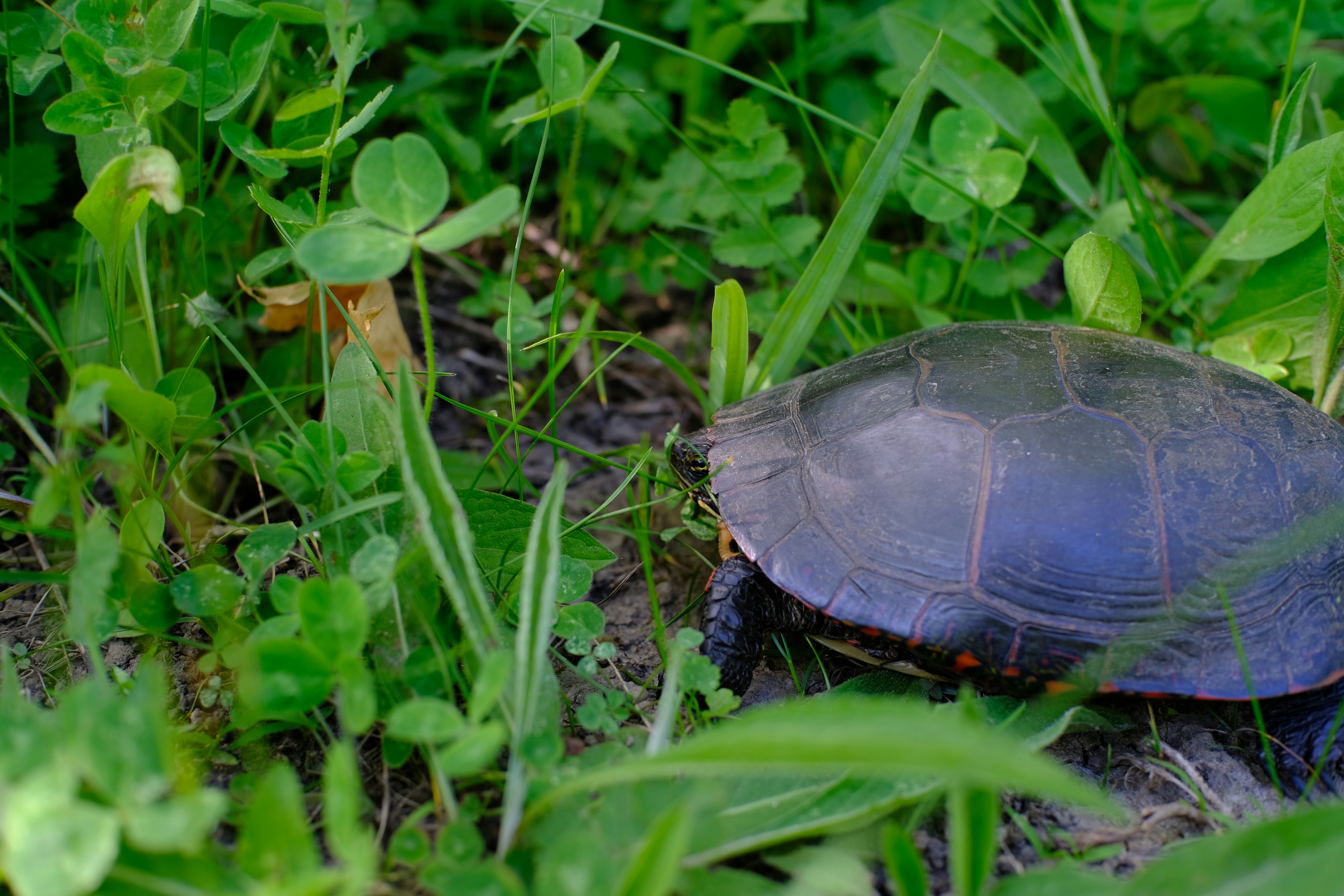 Photo by augustomp55