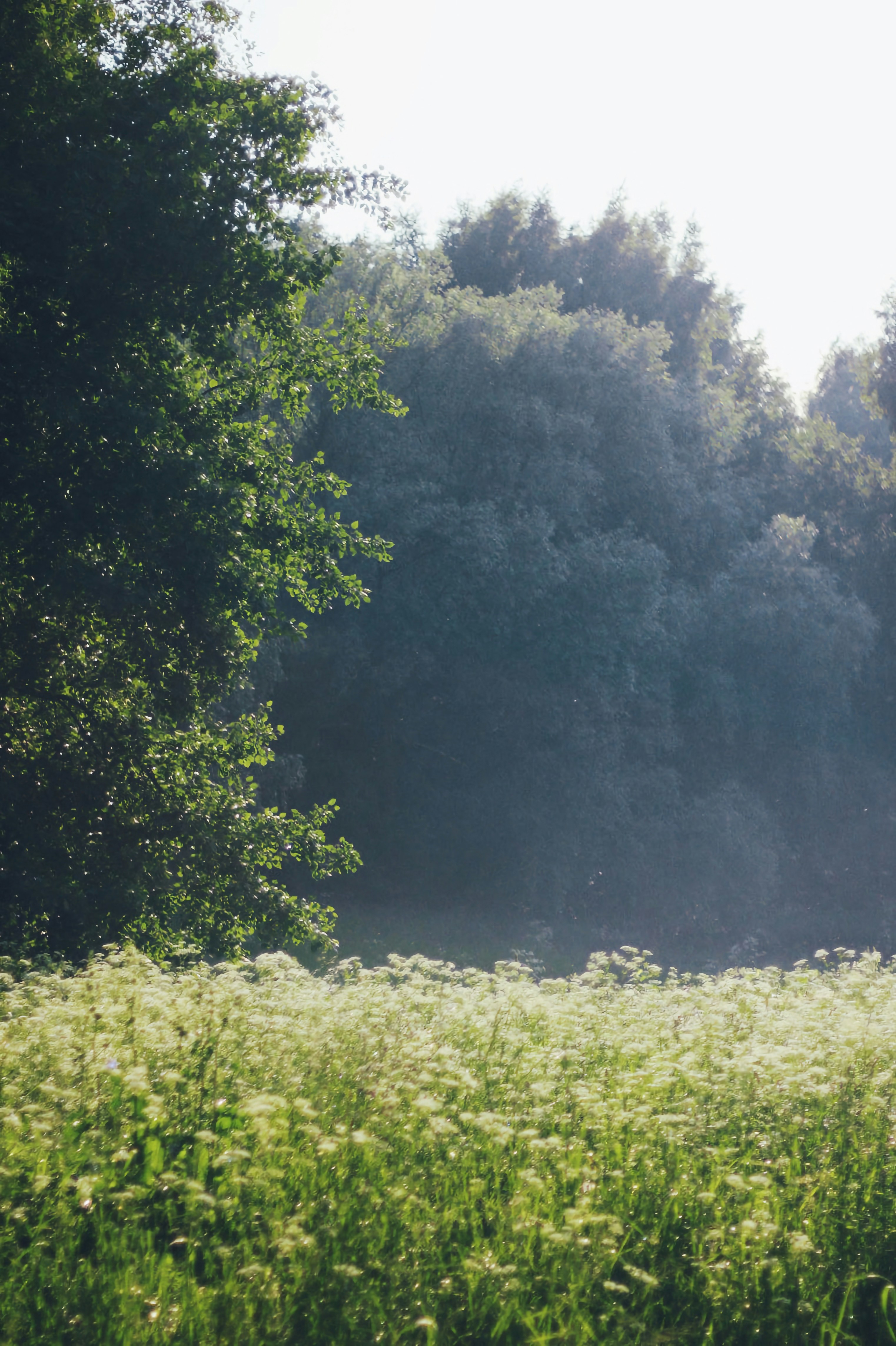 Photo by alexanderanisin