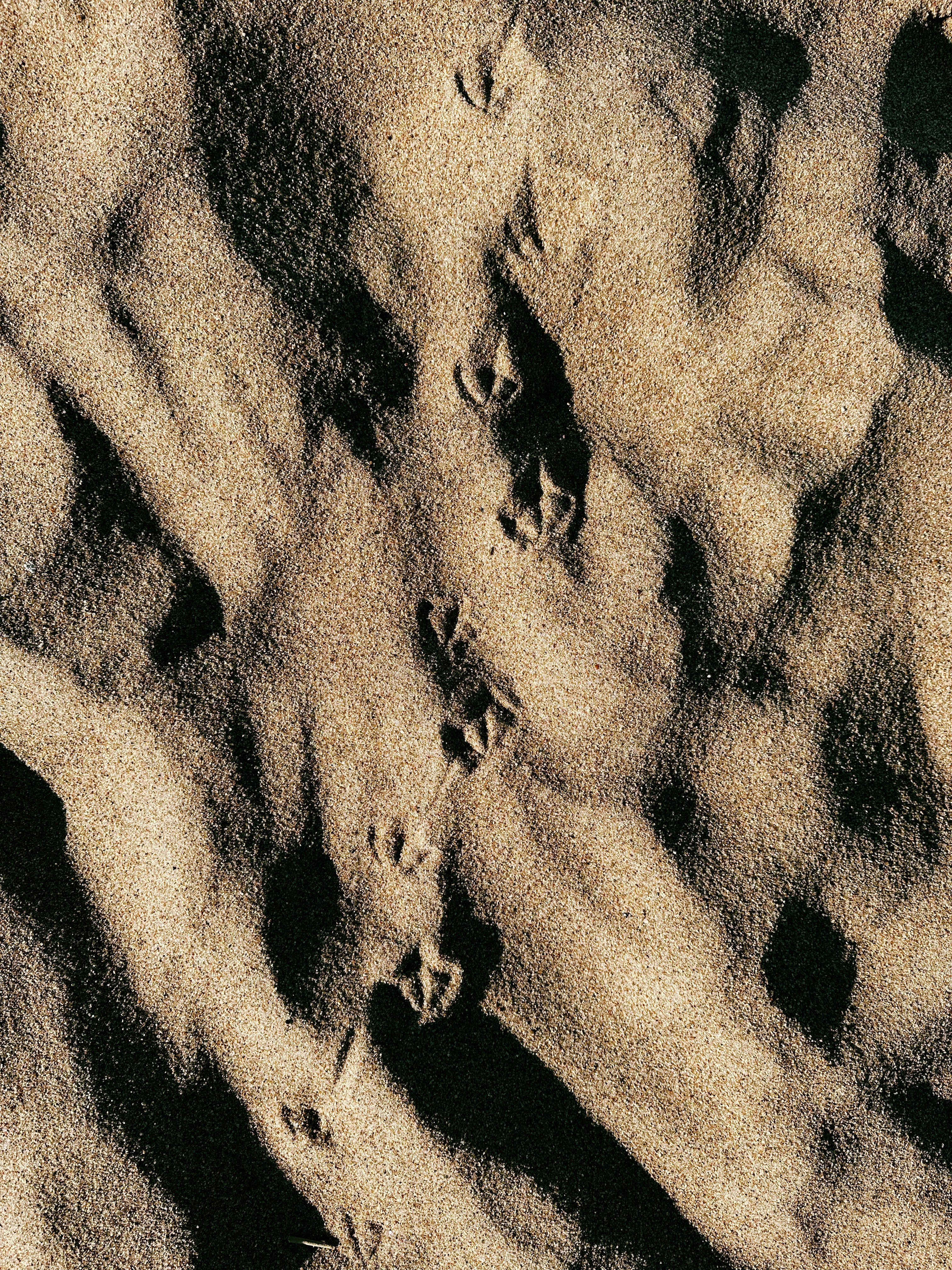 Photo by alexanderanisin