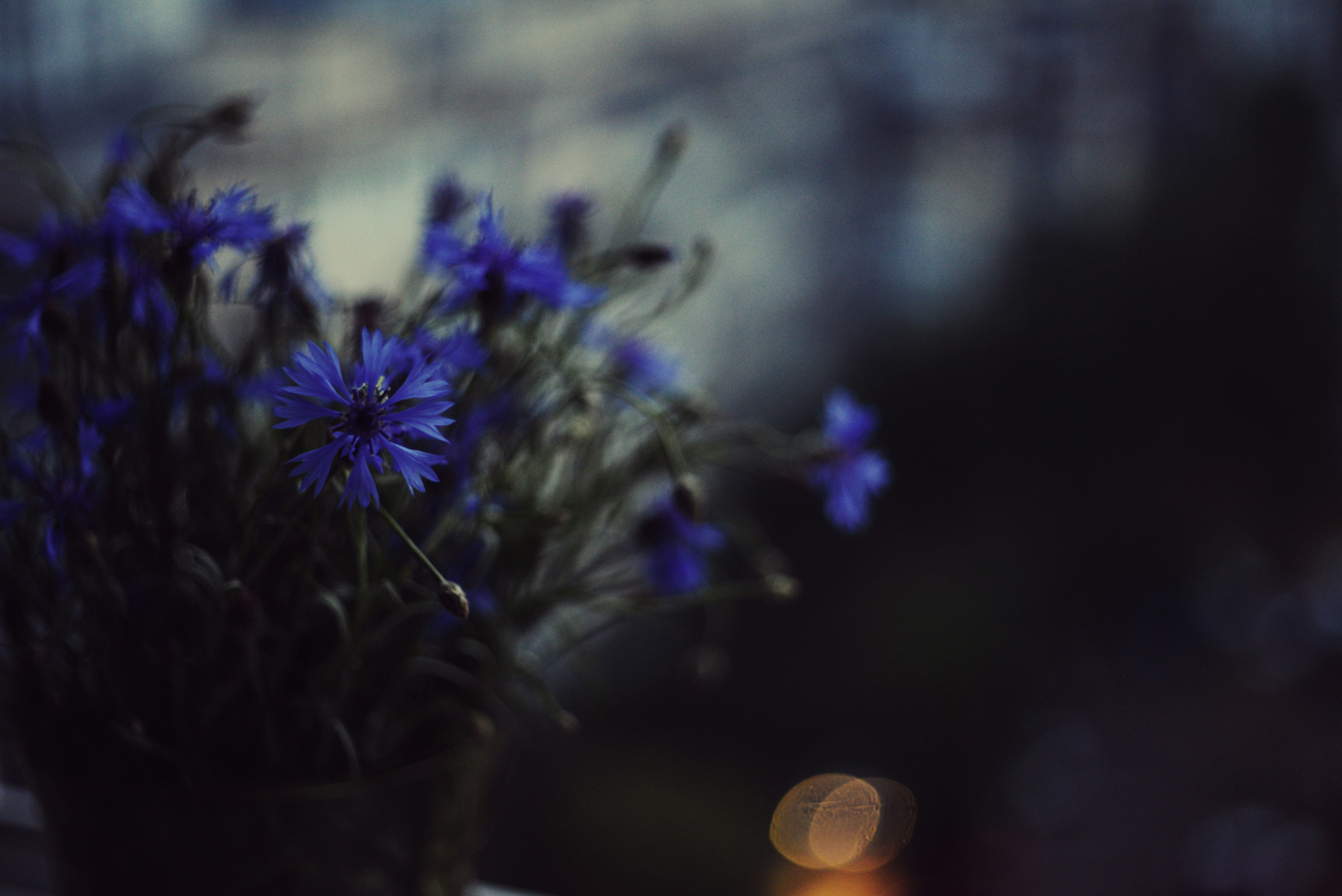 Photo by cherstve_pechivo