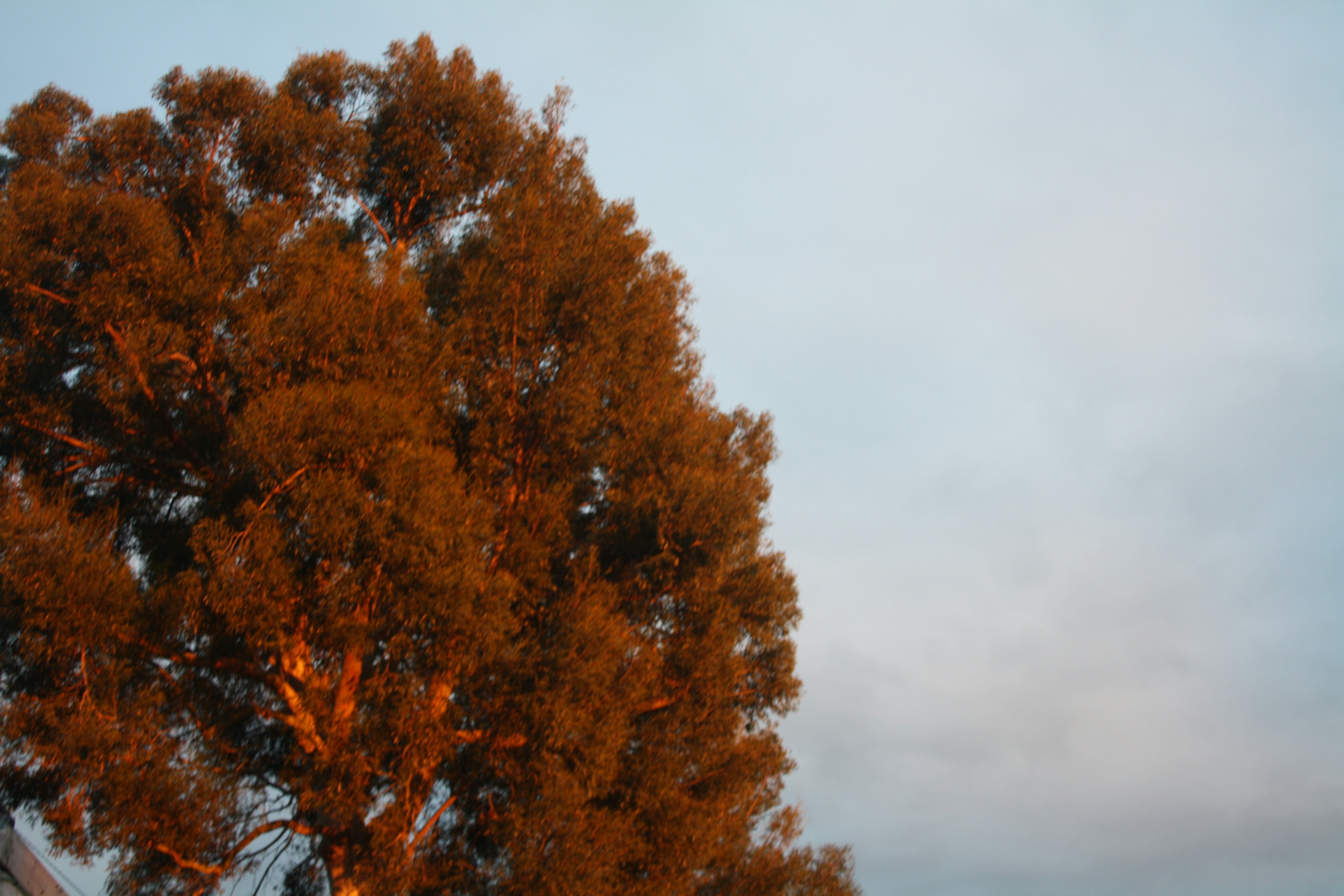 Photo by bruno_caetanos_photography