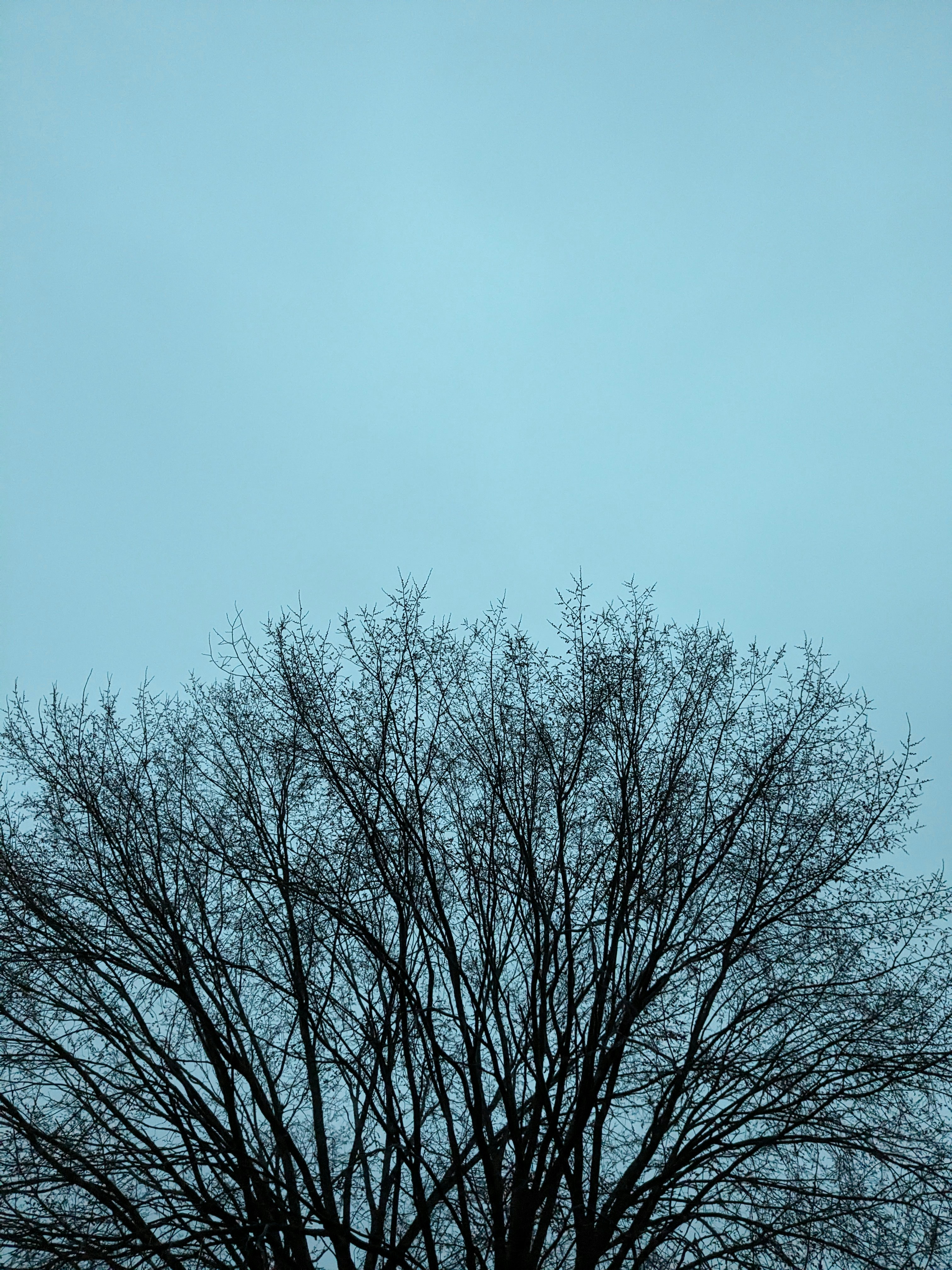 Photo by hashcode_error