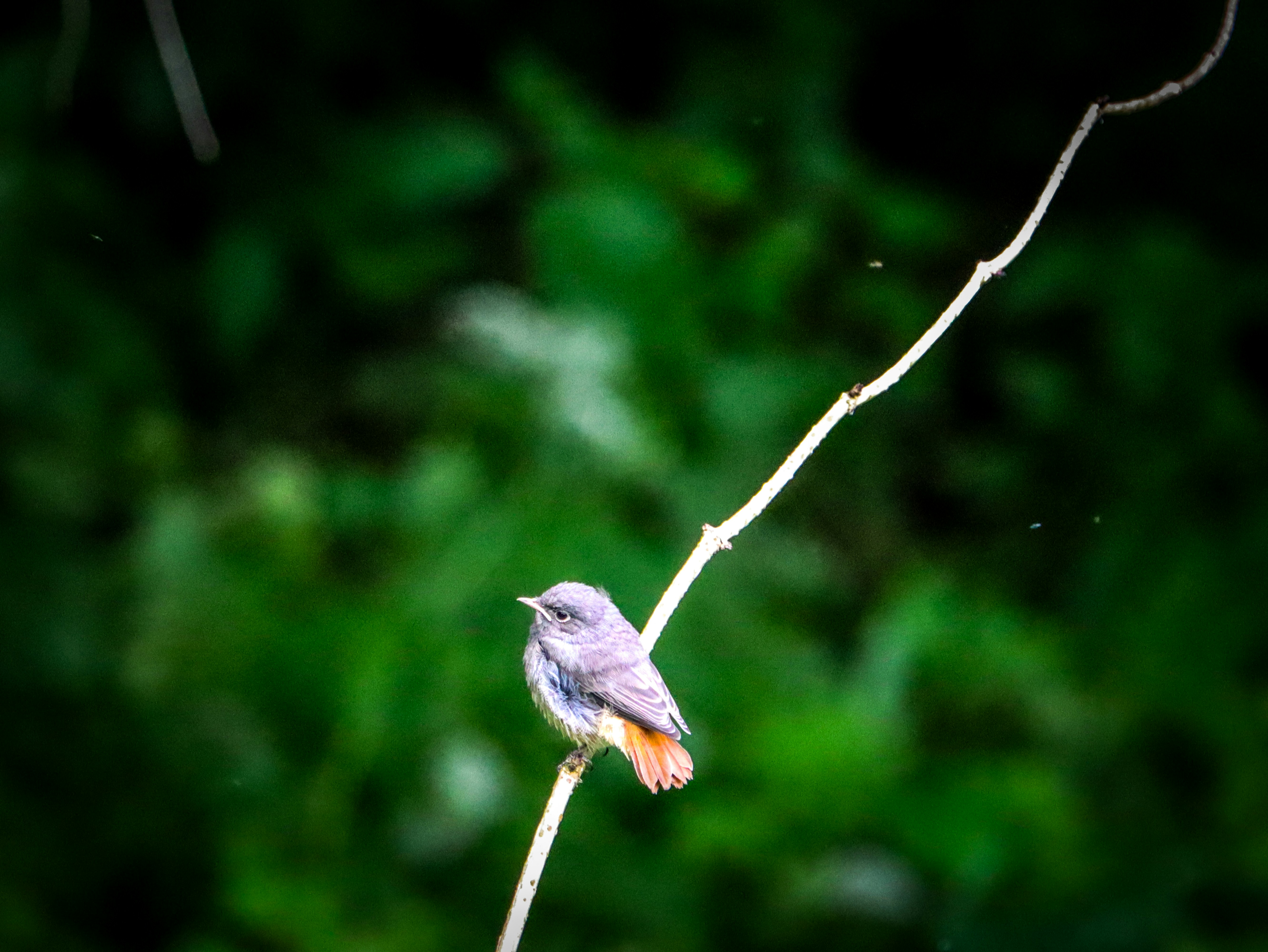 Photo by 3kolone