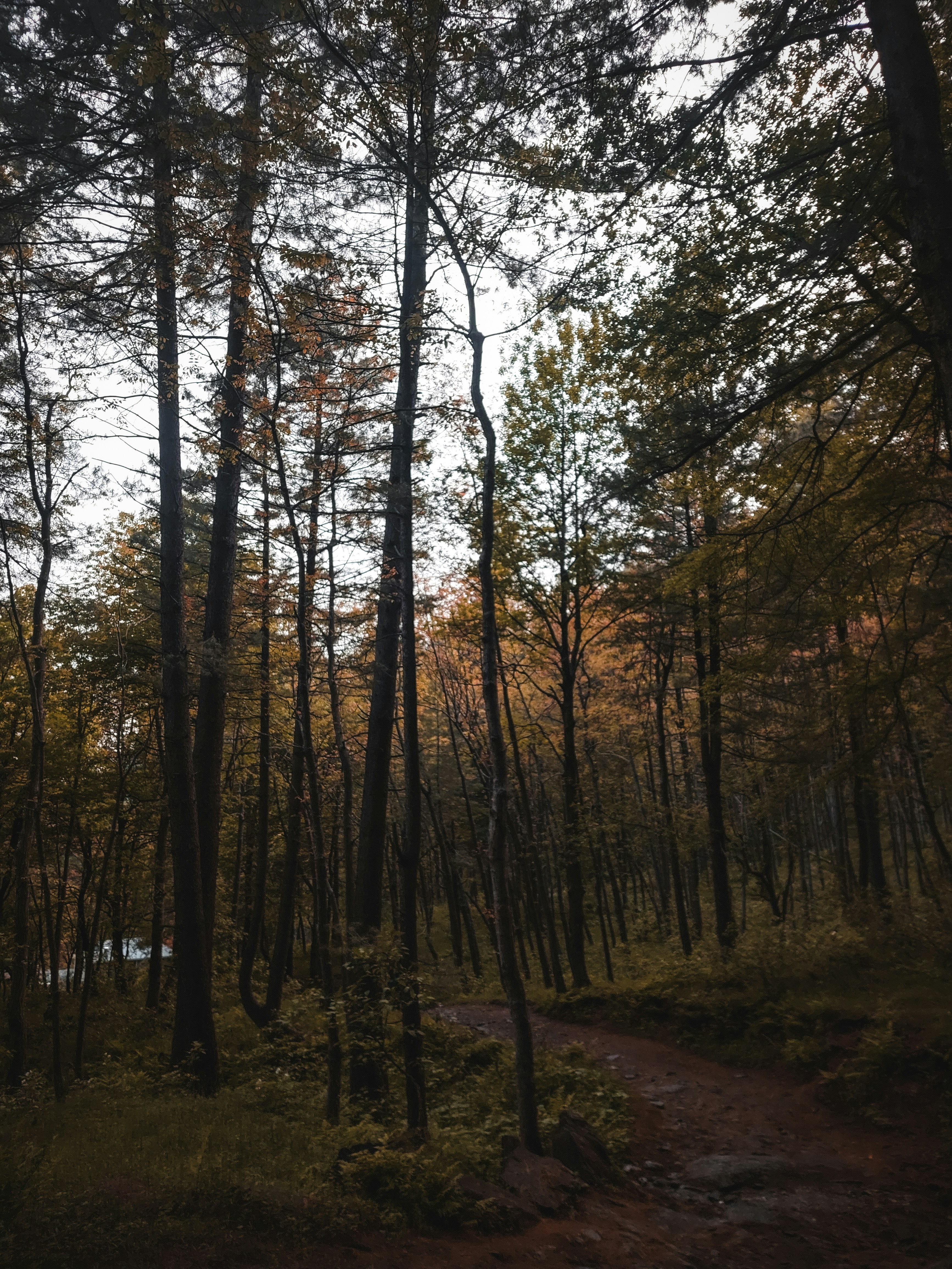 Photo by hassanjavedd