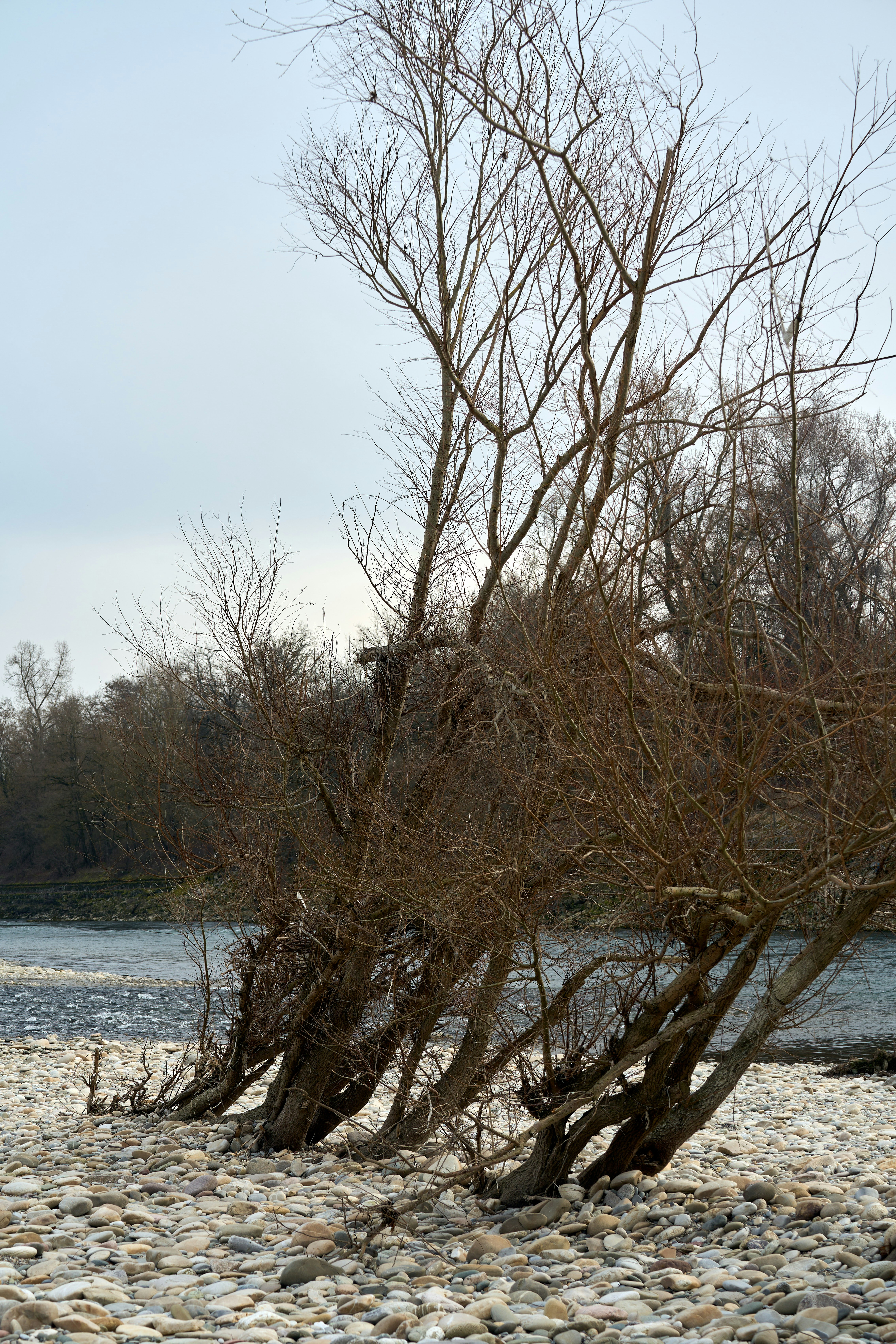 Photo by wolfgang_hasselmann