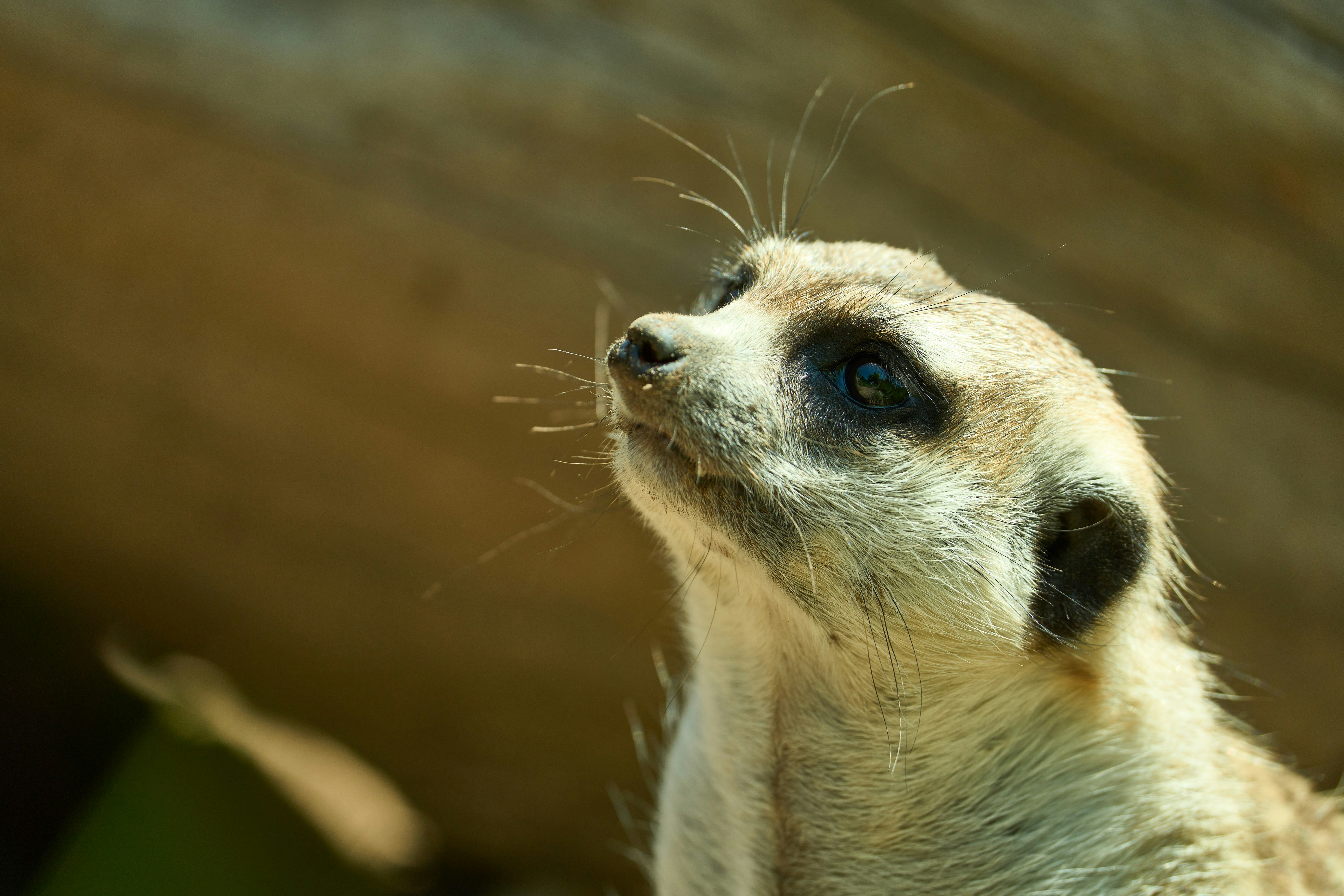 Photo by wolfgang_hasselmann