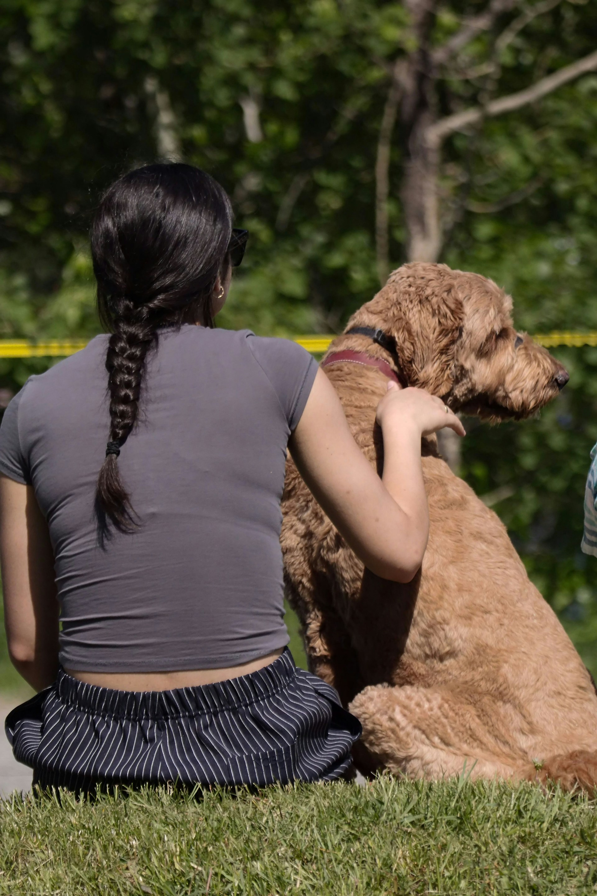 a woman sitting on the ground with a dog