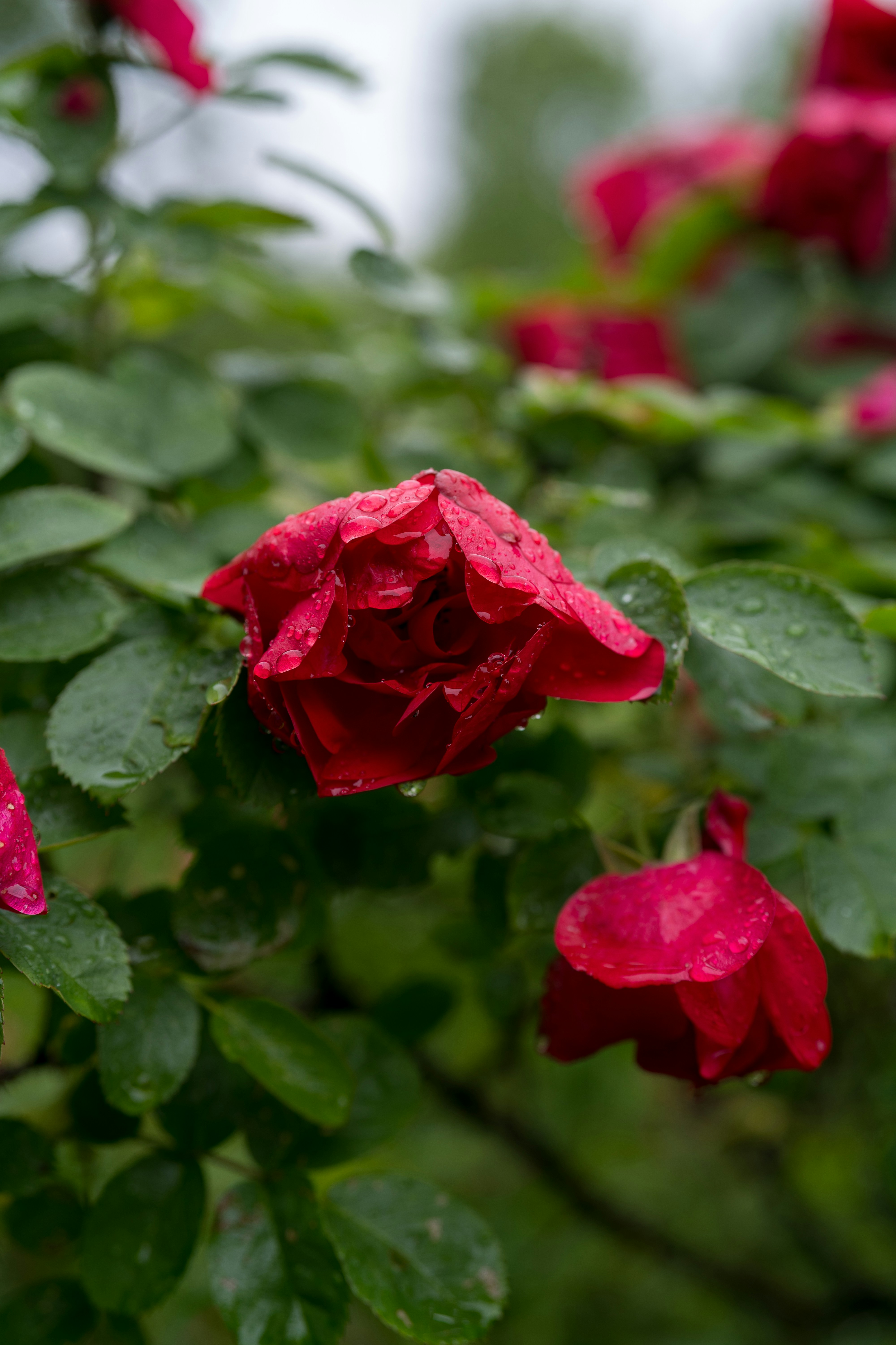 Photo by bangscreative