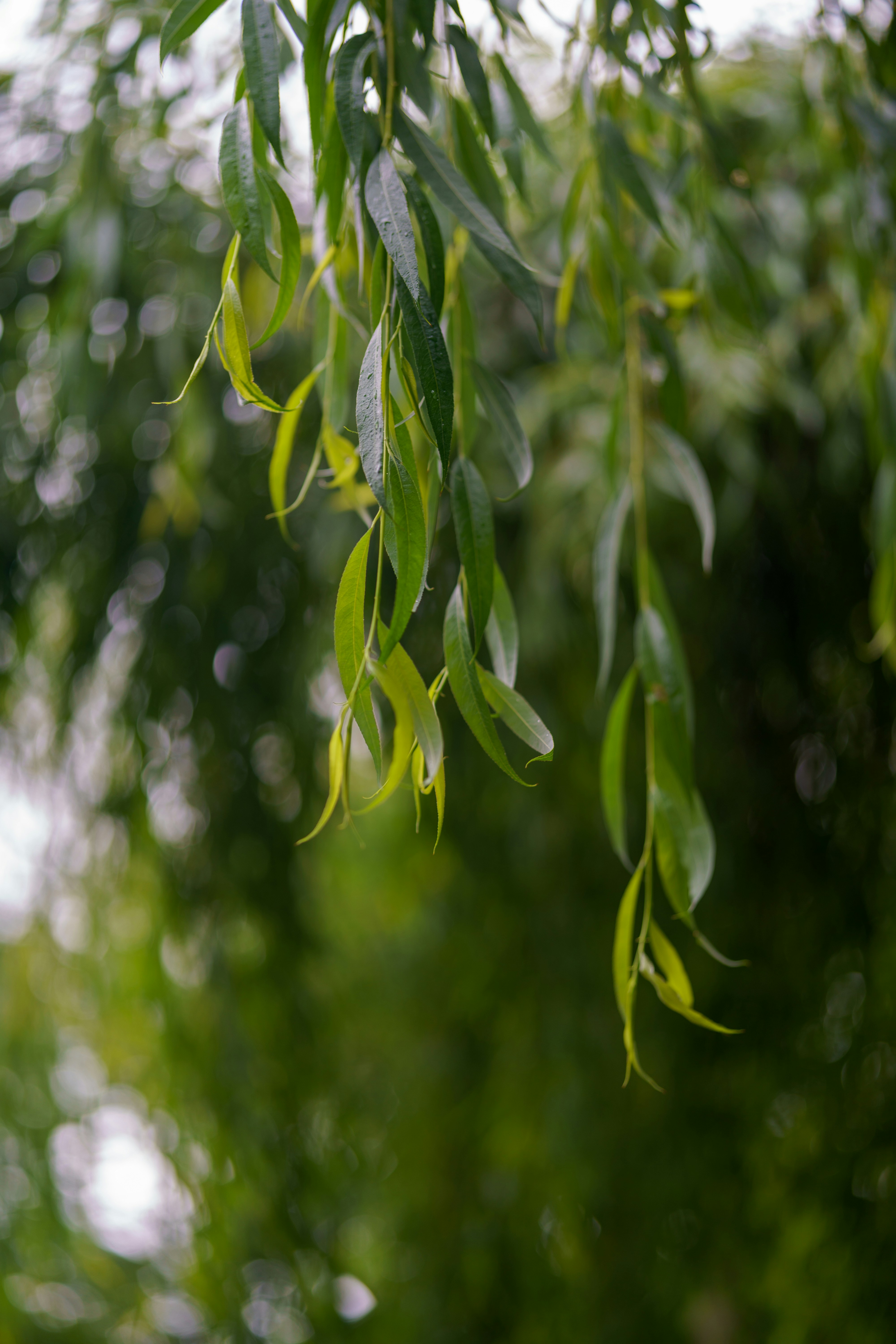 Photo by bangscreative