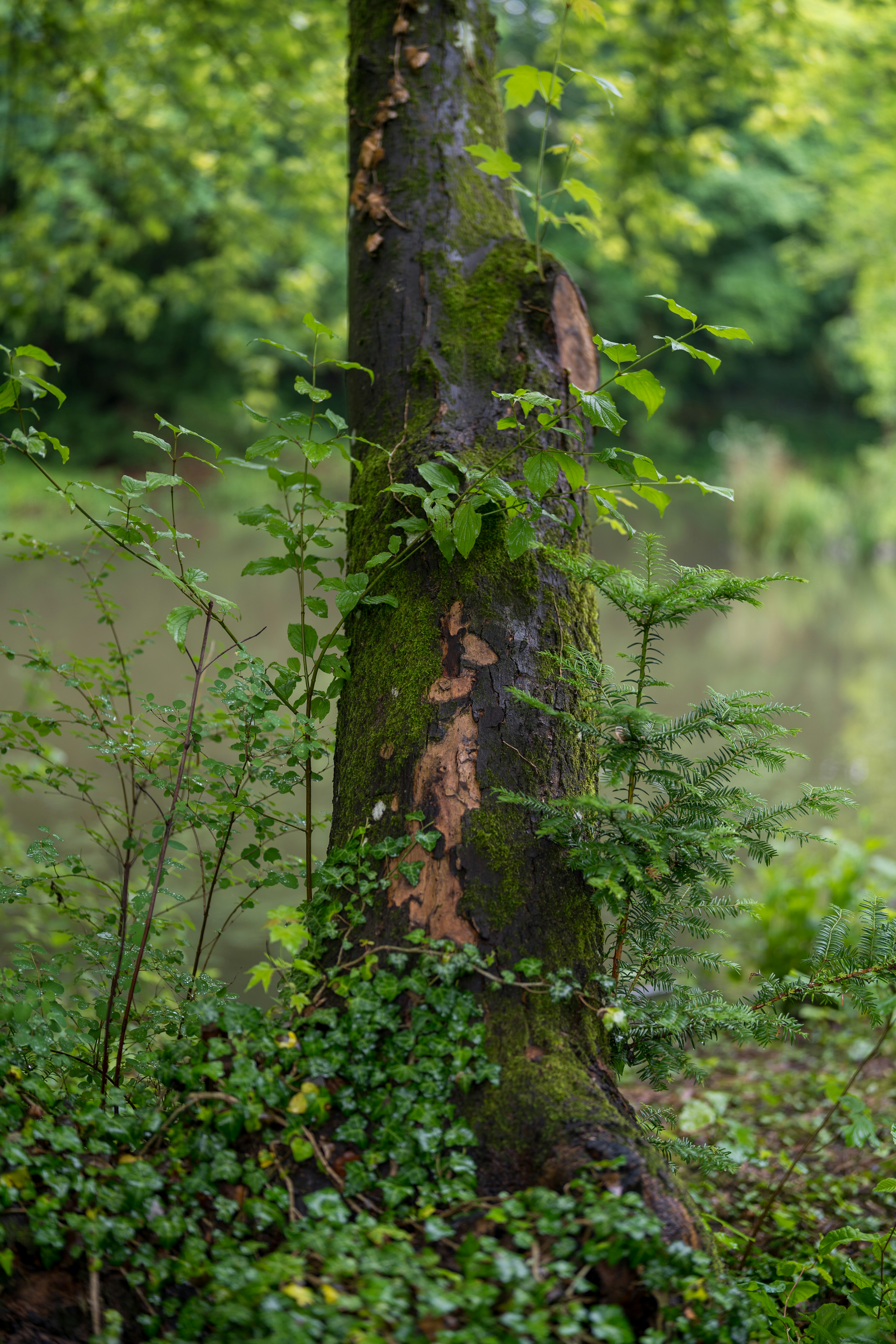 Photo by bangscreative