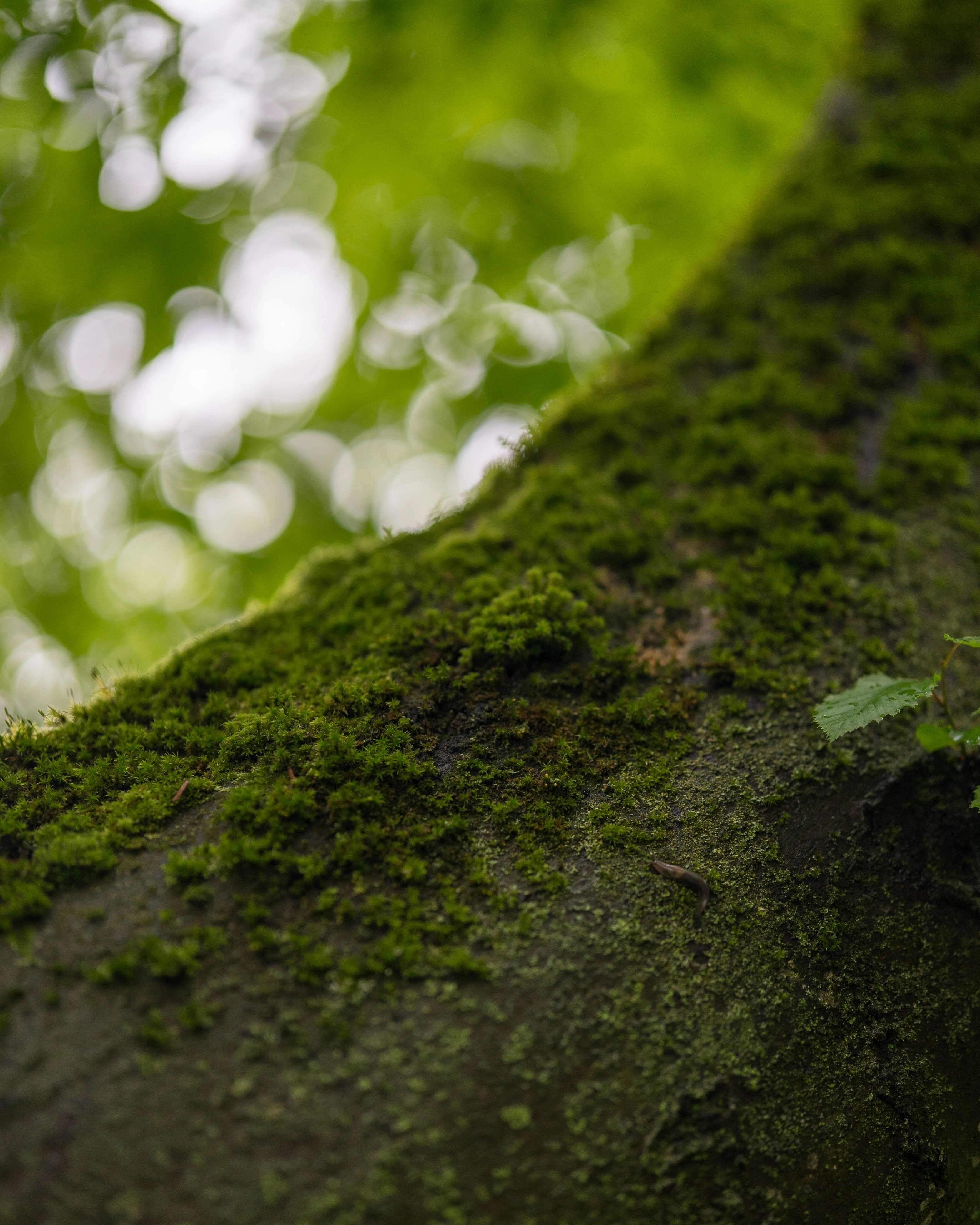 Photo by bangscreative