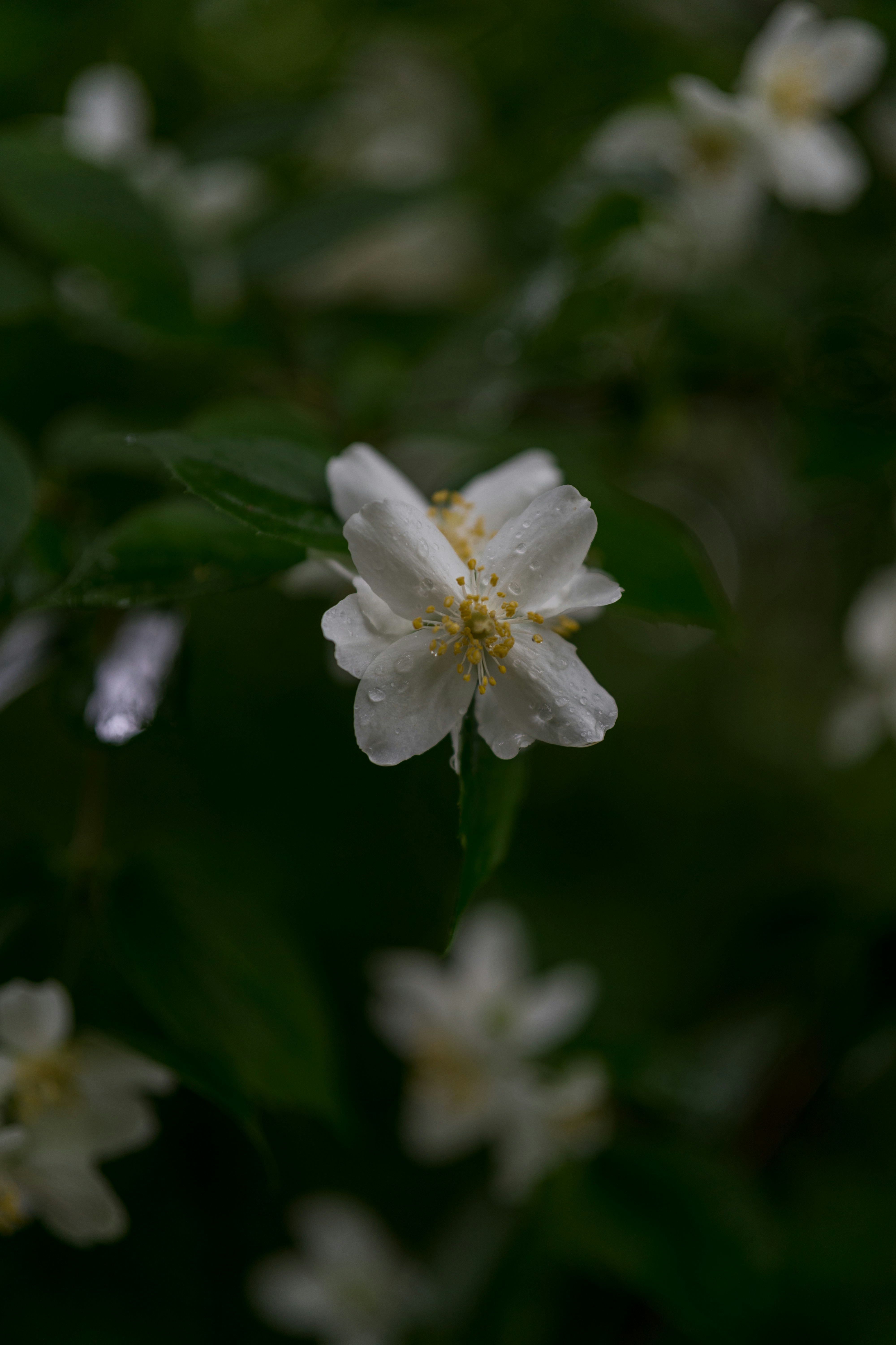 Photo by bangscreative