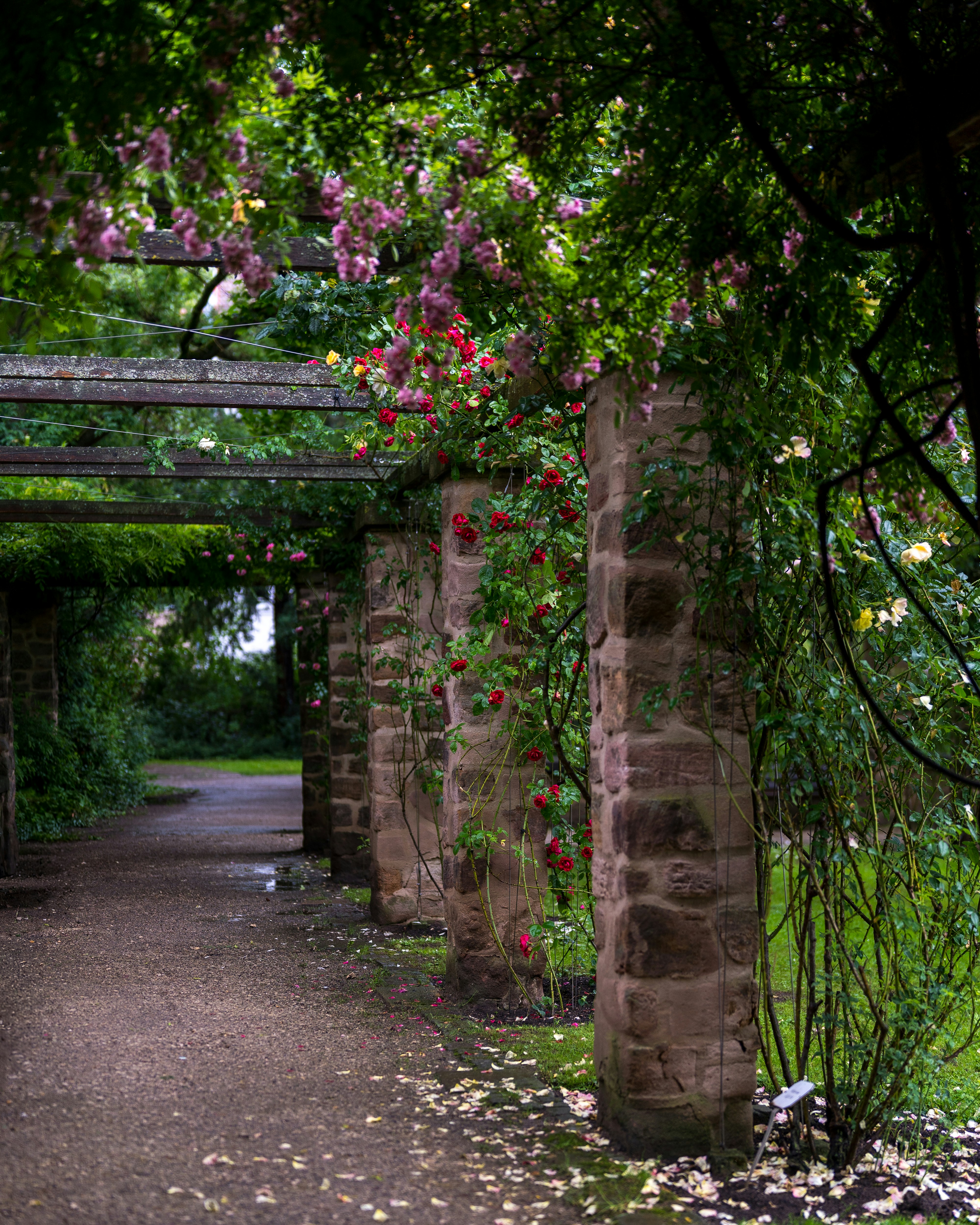 Photo by bangscreative