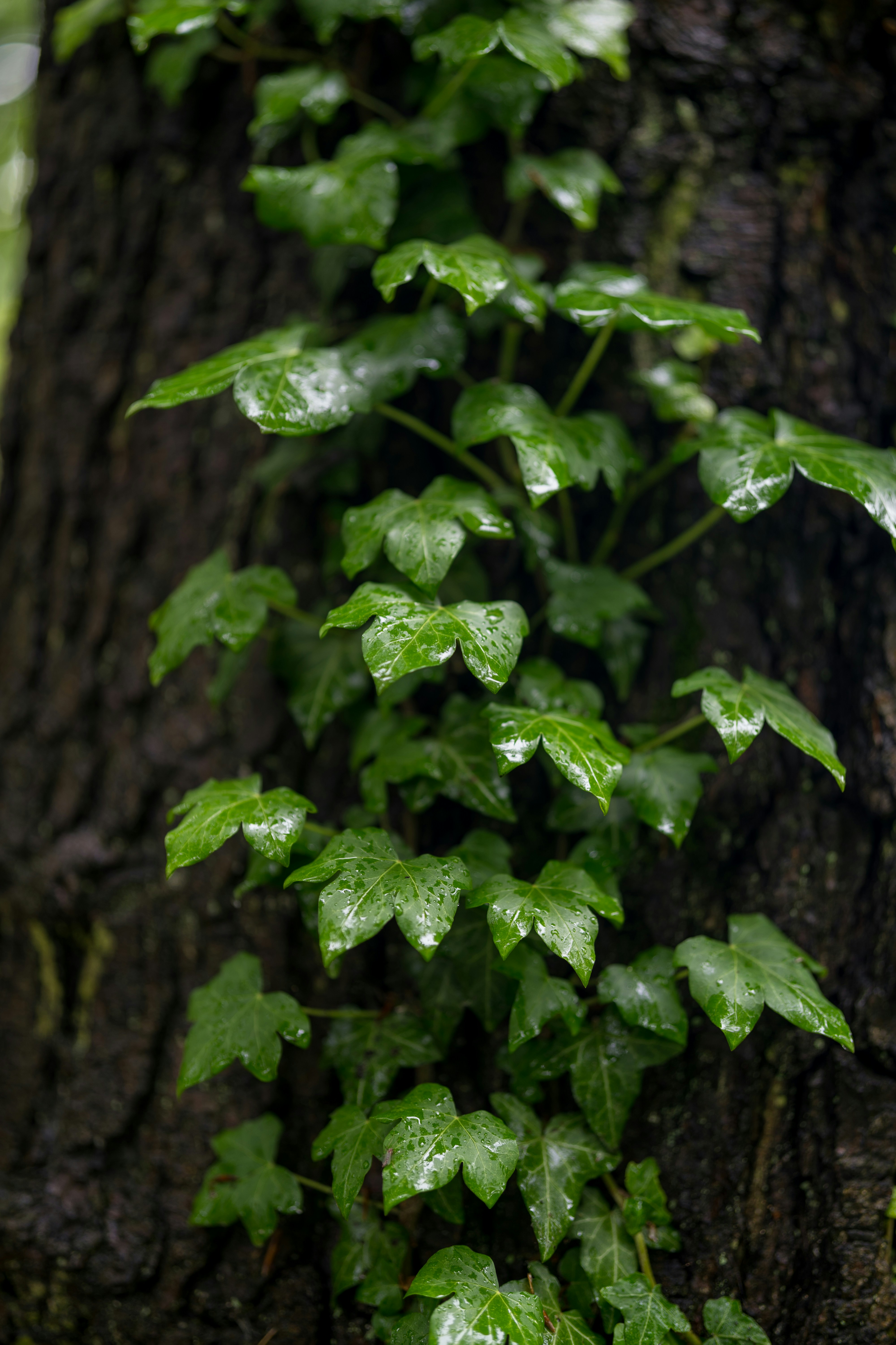 Photo by bangscreative