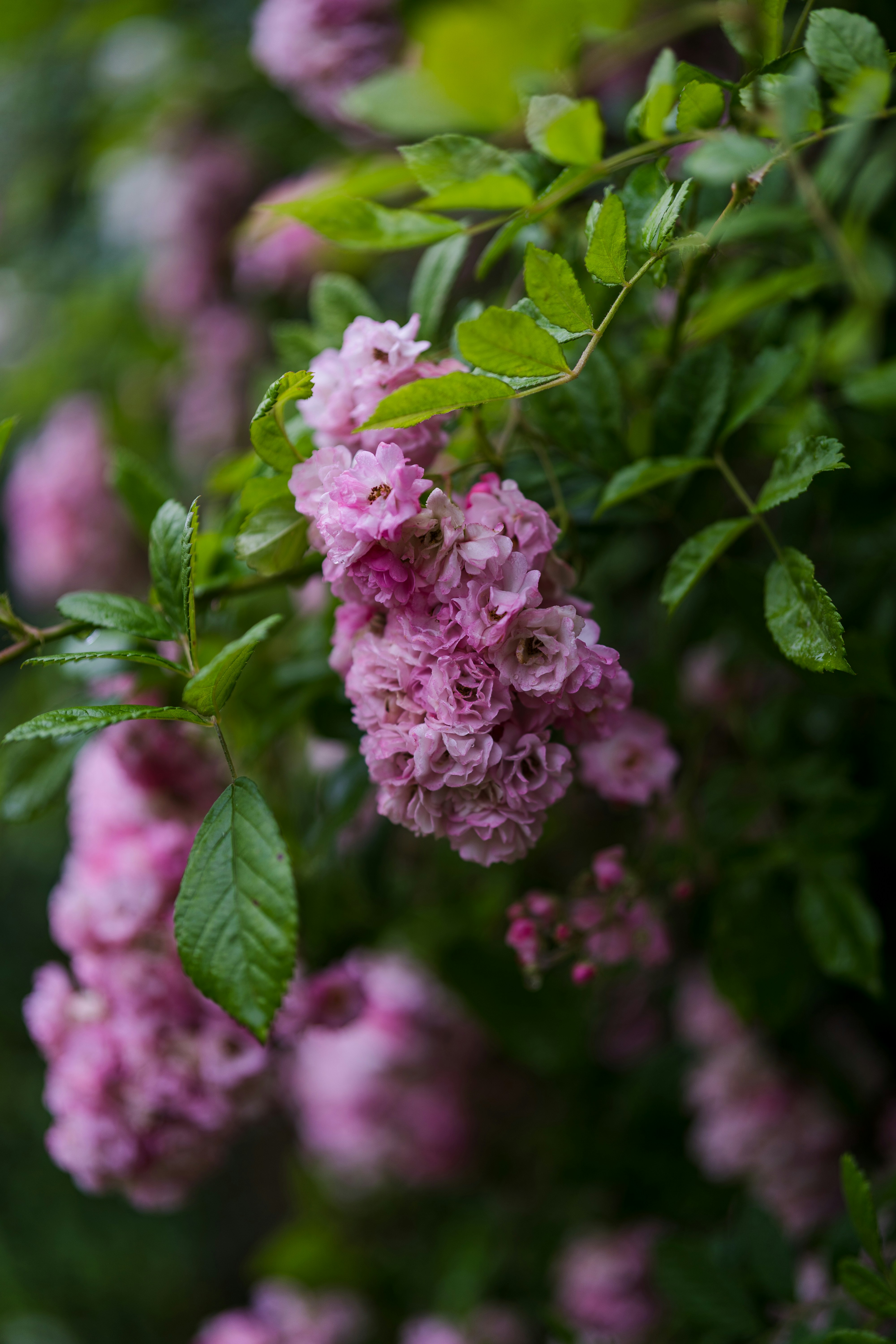 Photo by bangscreative