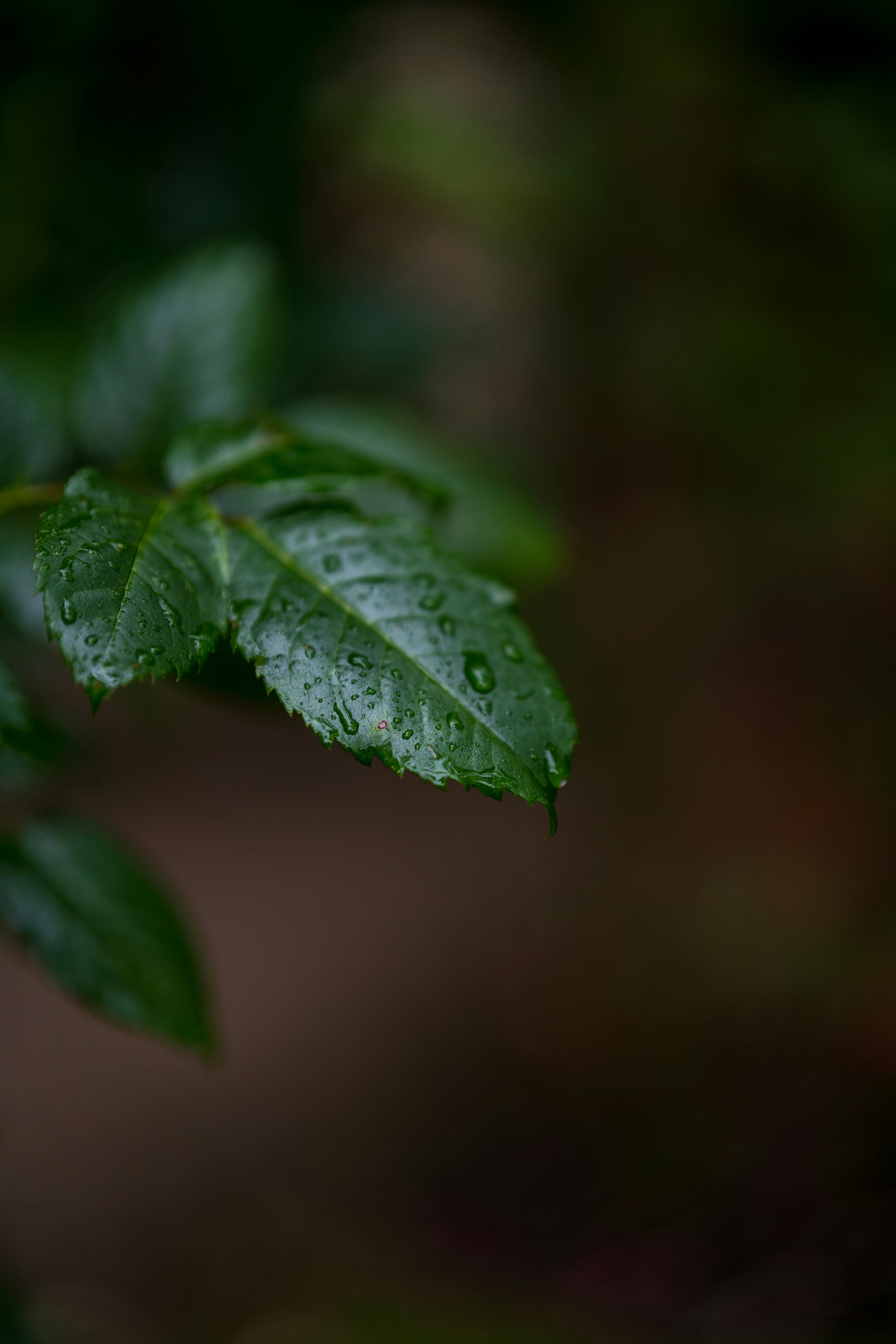 Photo by bangscreative