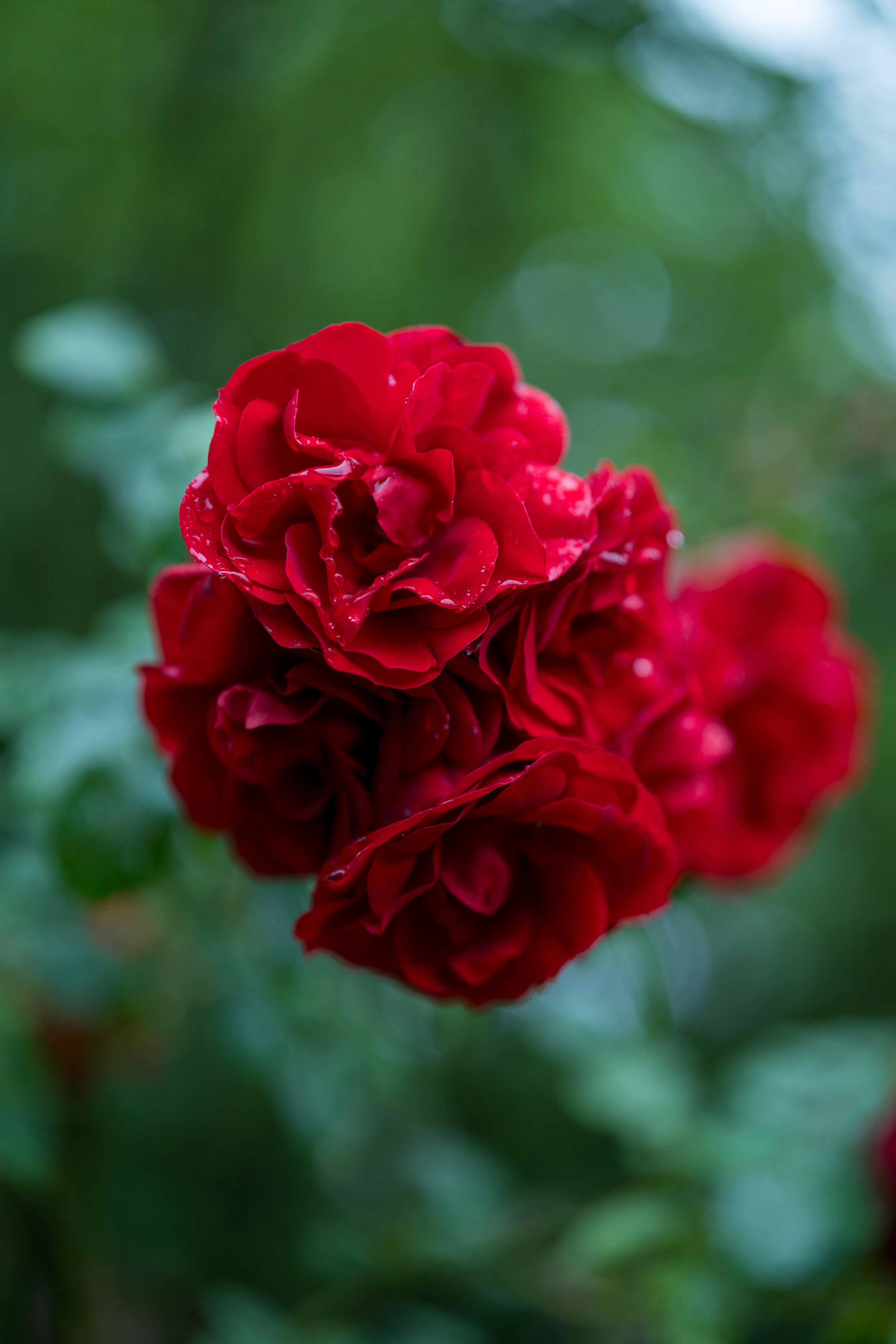 Photo by bangscreative