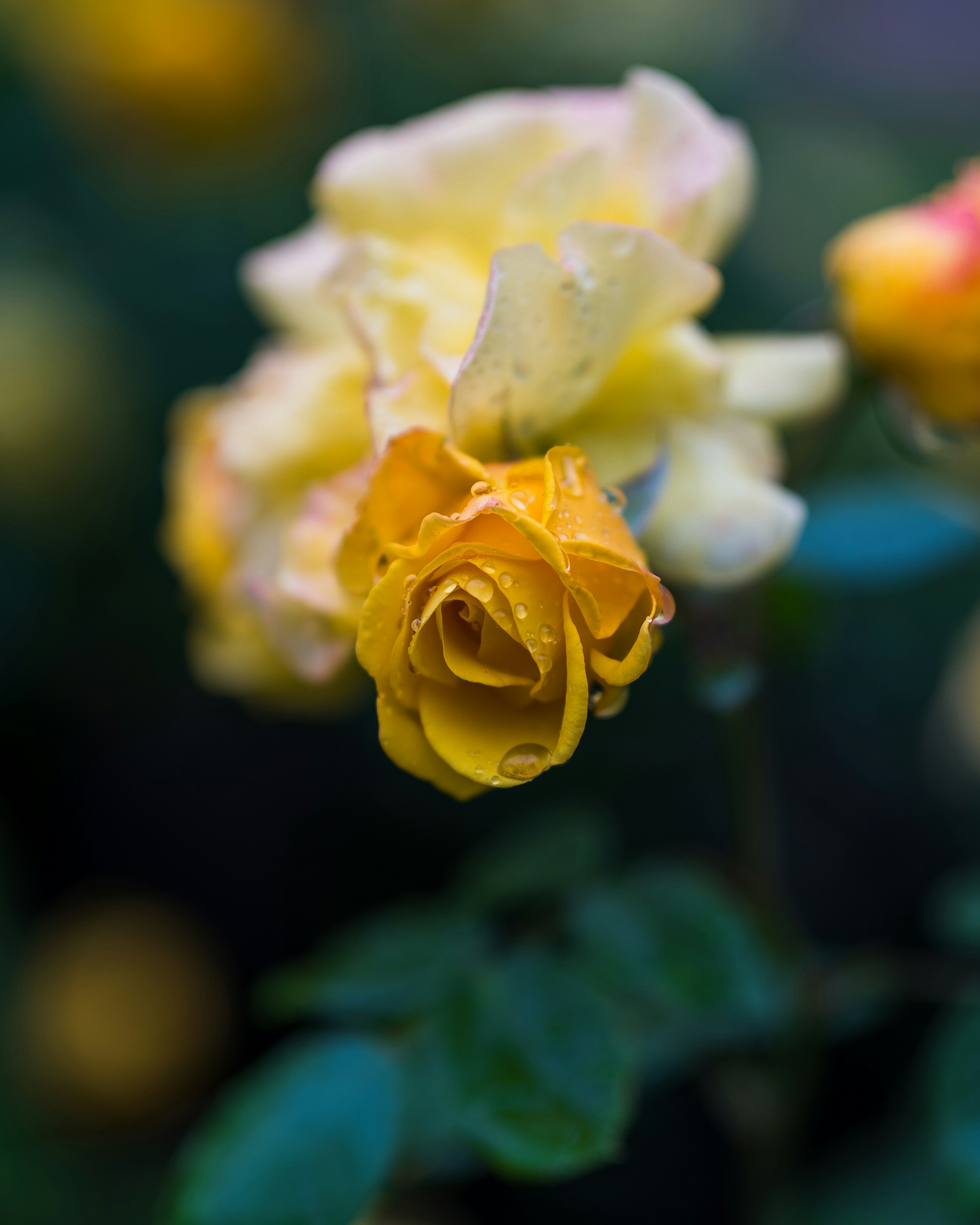 Photo by bangscreative