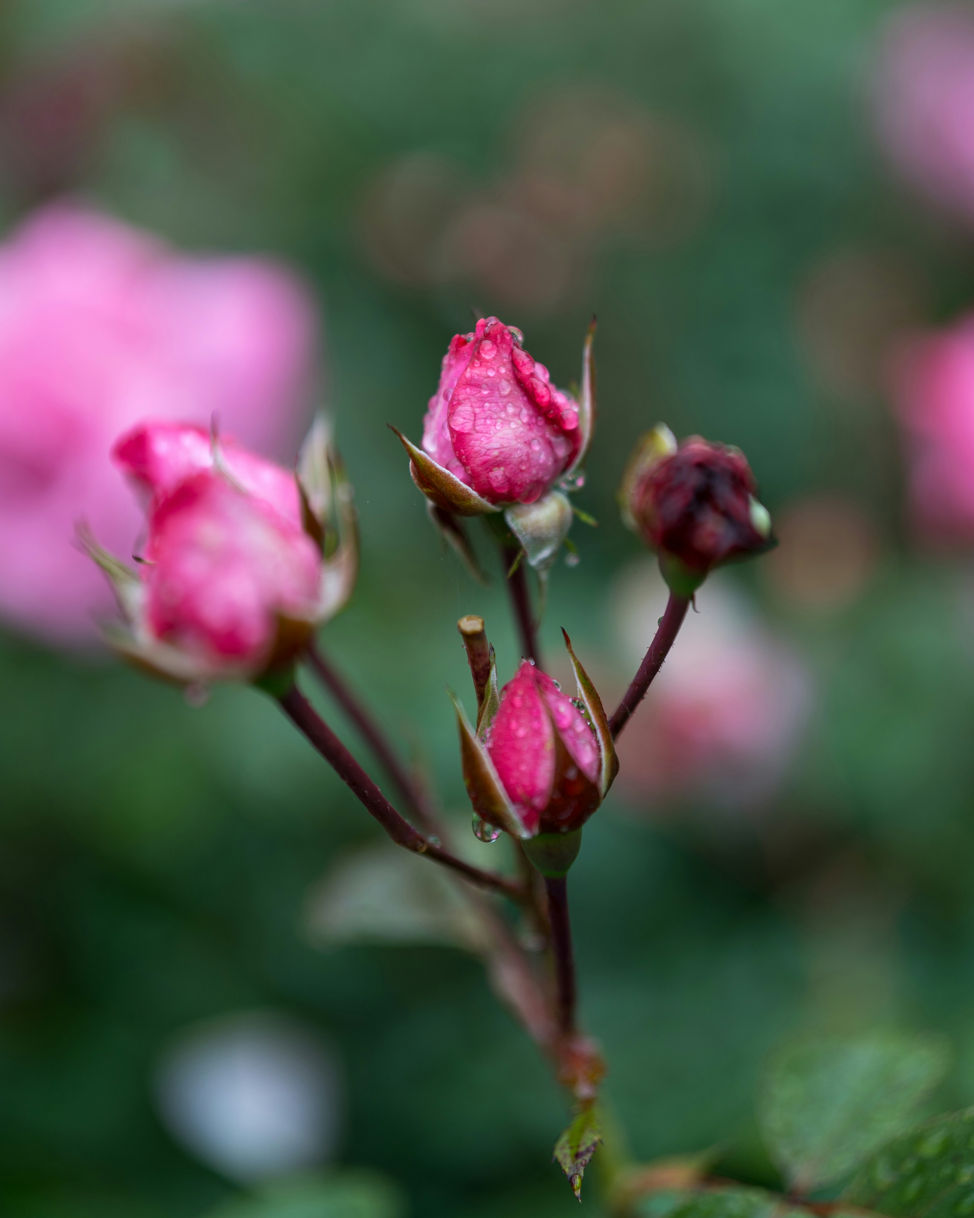 Photo by bangscreative