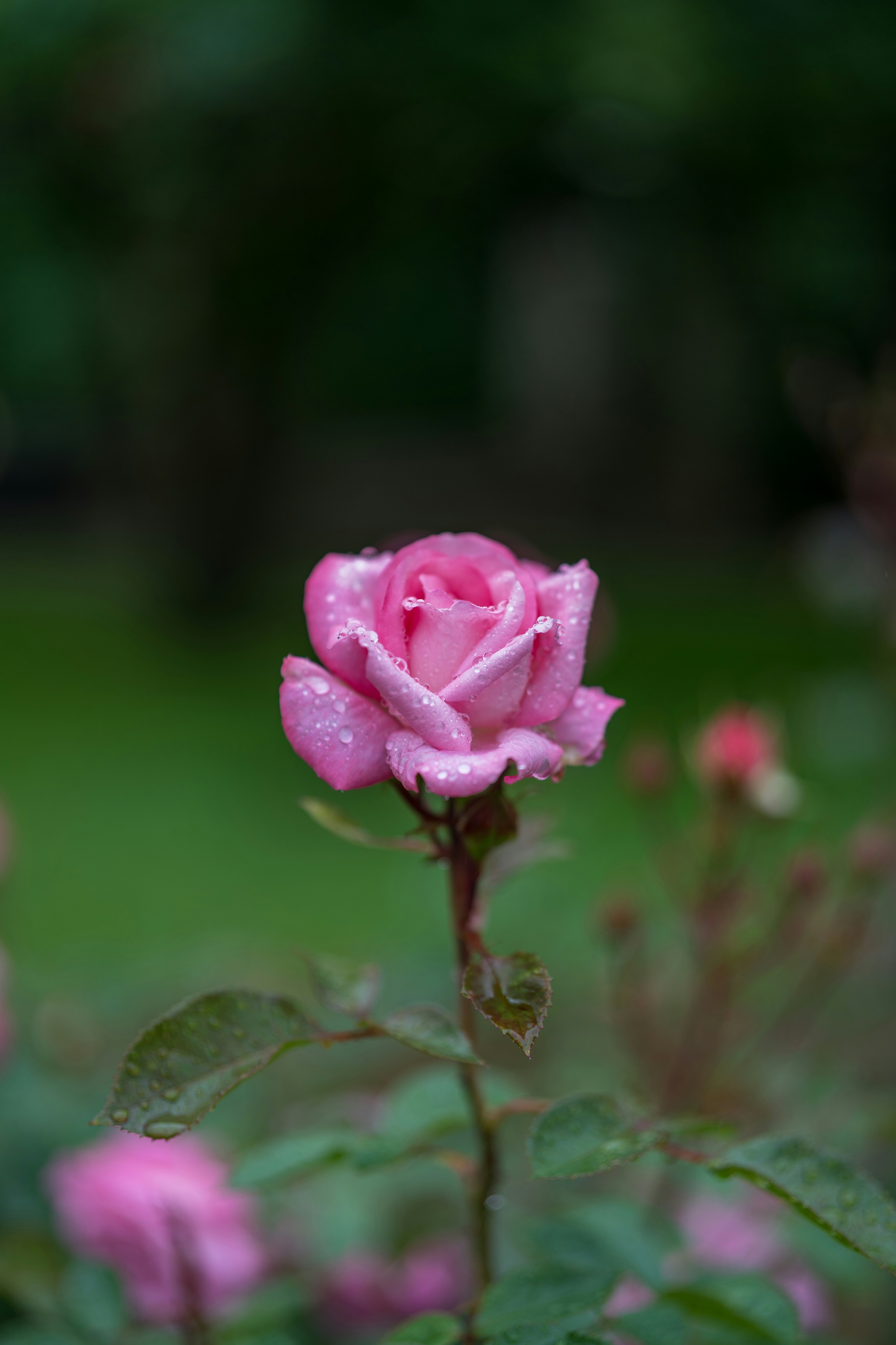 Photo by bangscreative