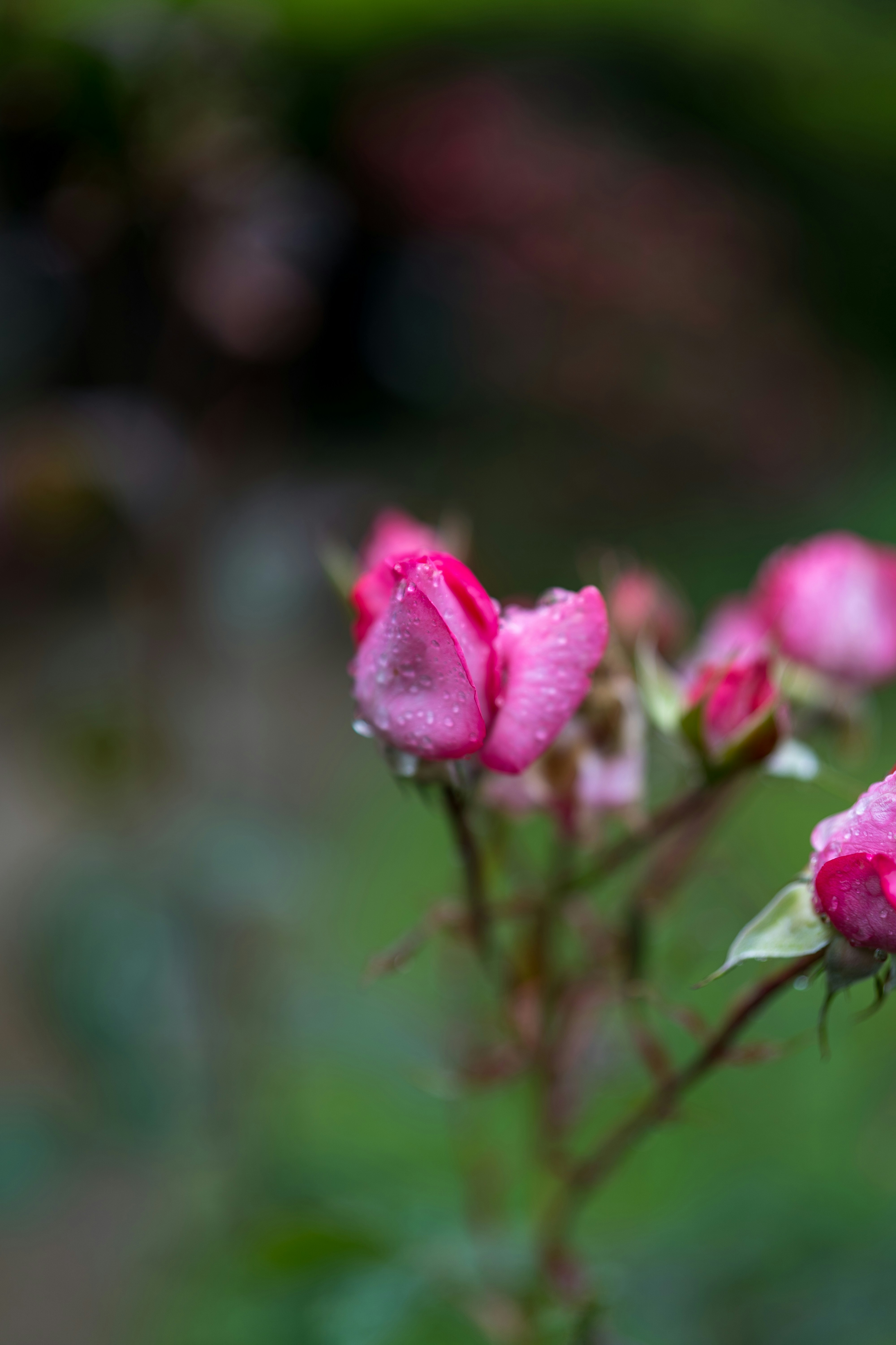 Photo by bangscreative