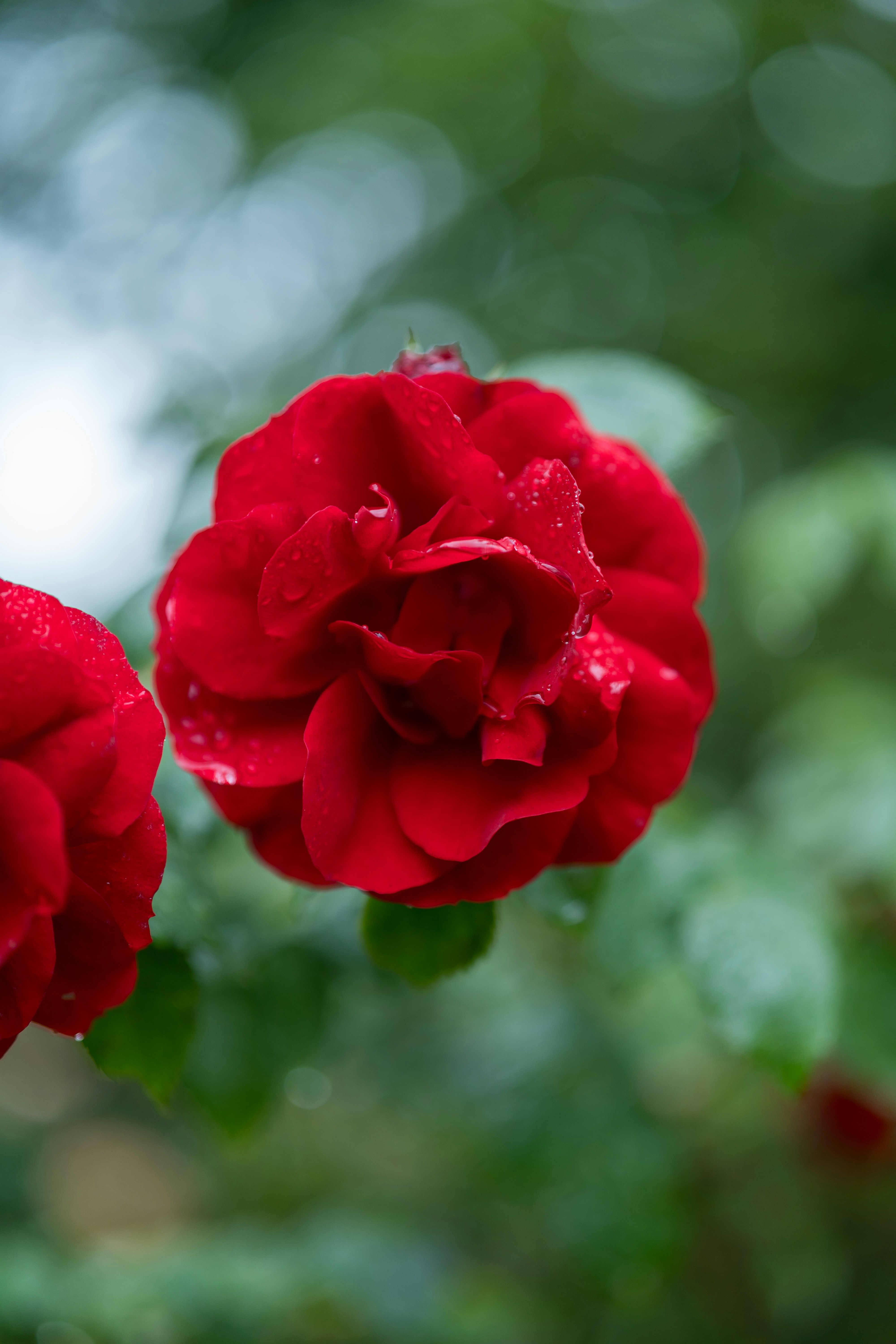 Photo by bangscreative