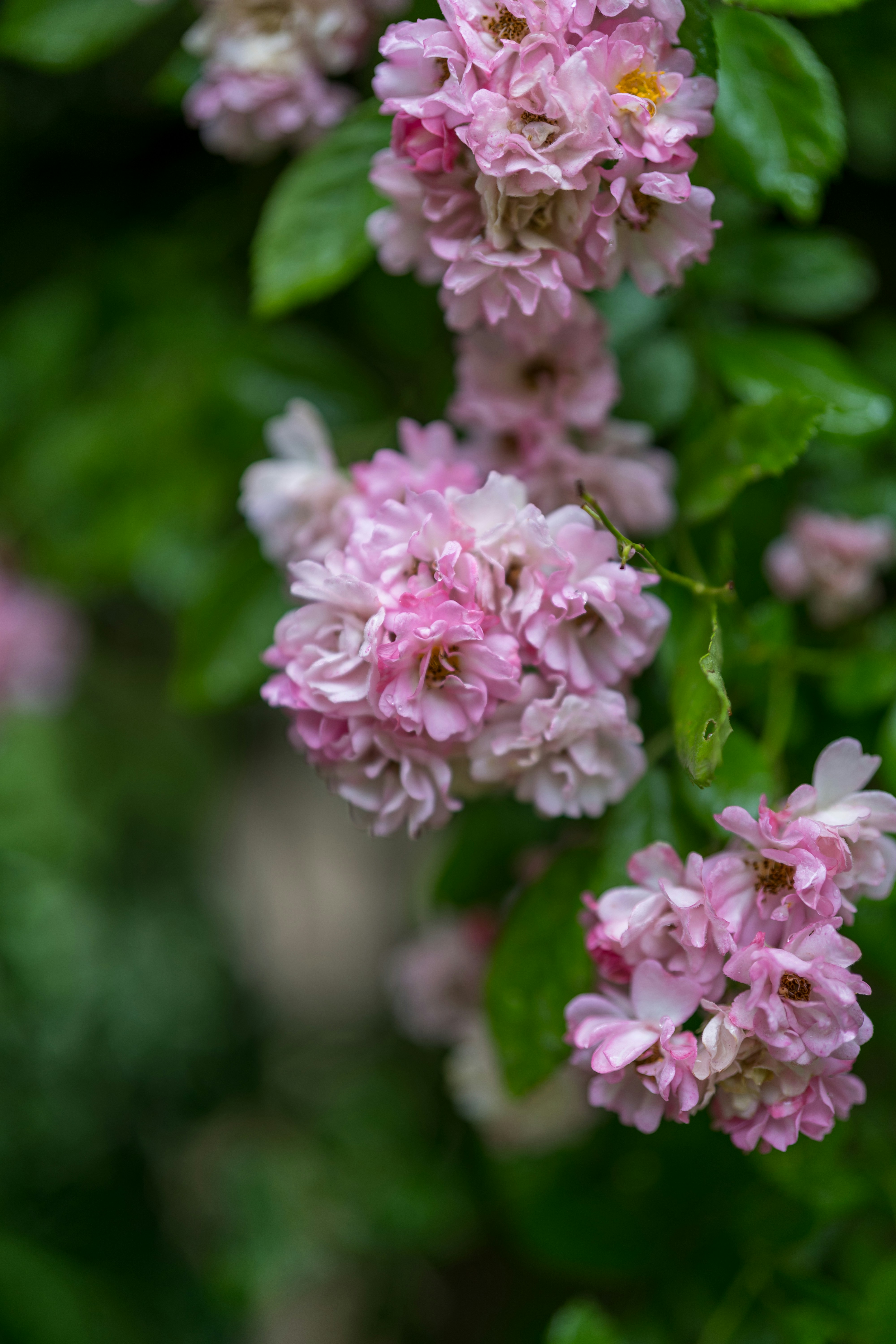 Photo by bangscreative