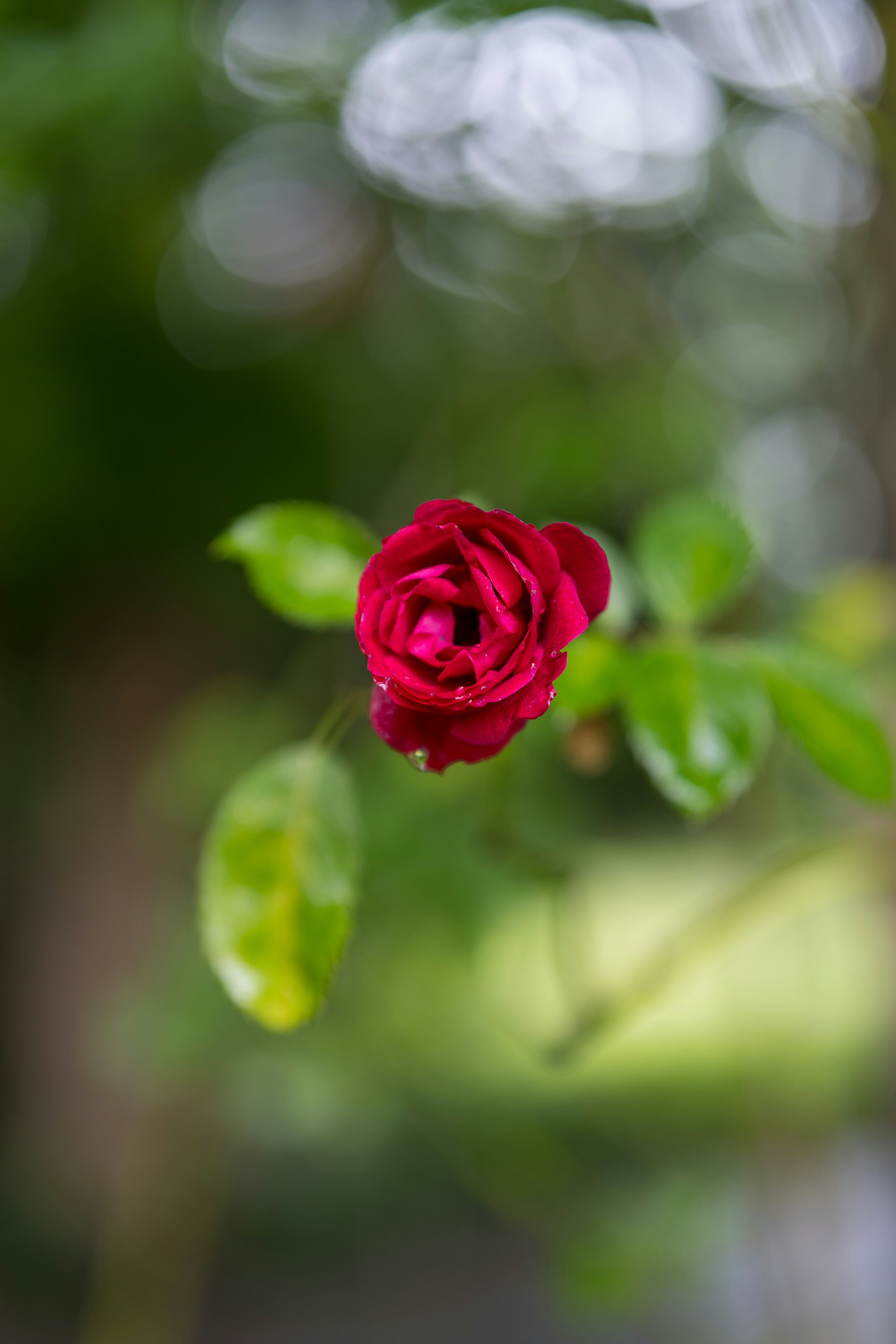 Photo by bangscreative