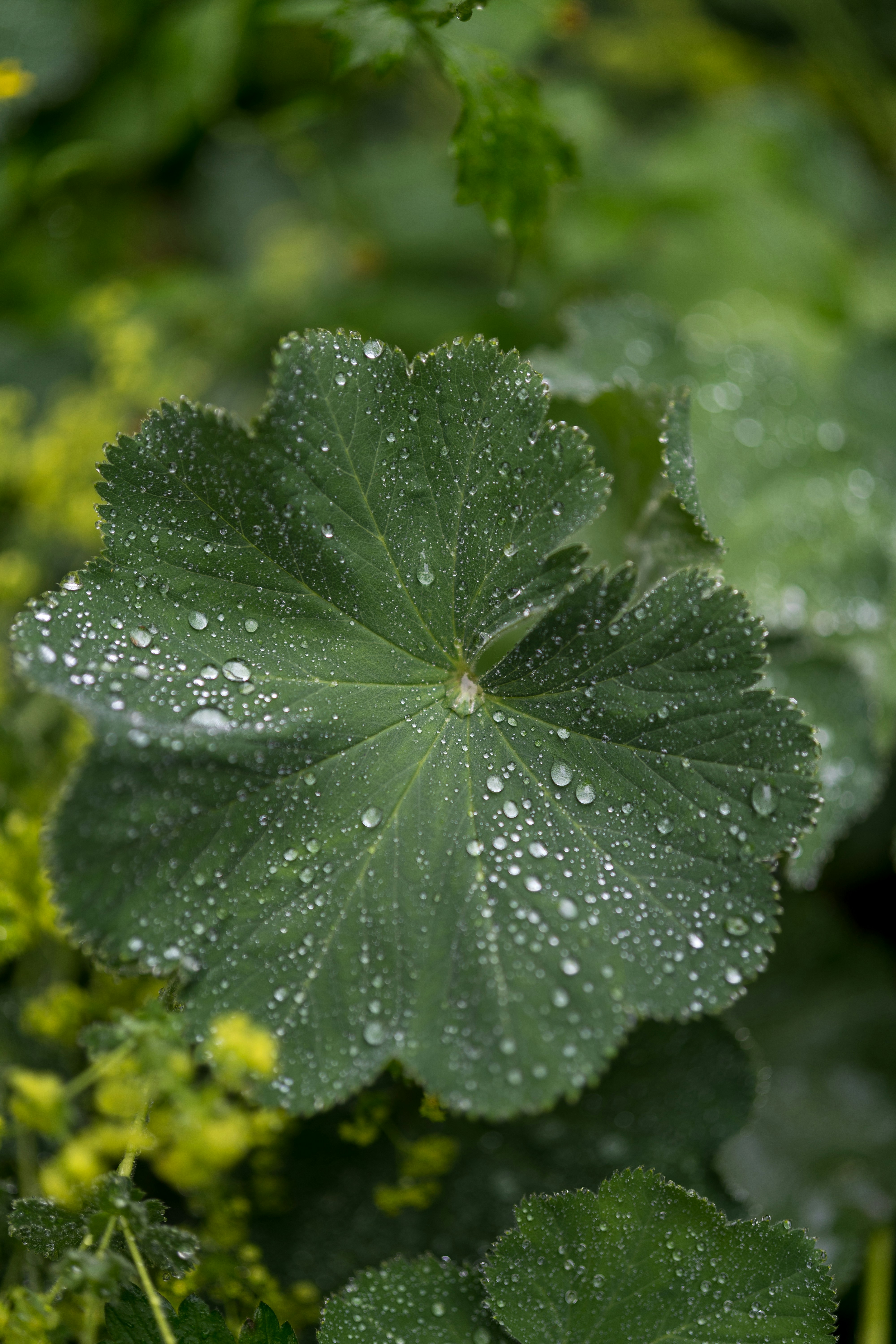 Photo by bangscreative