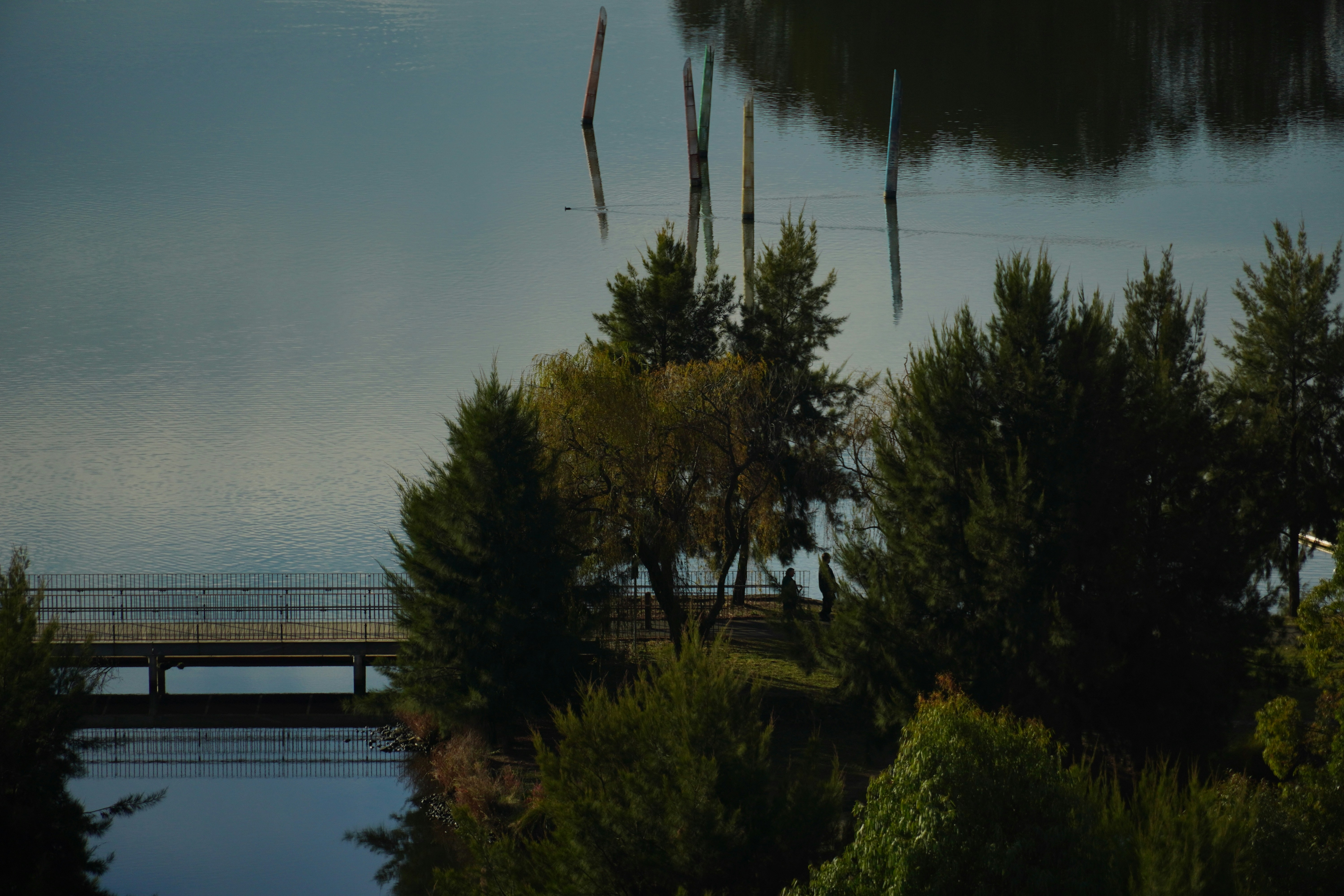 Photo by greenliustudio