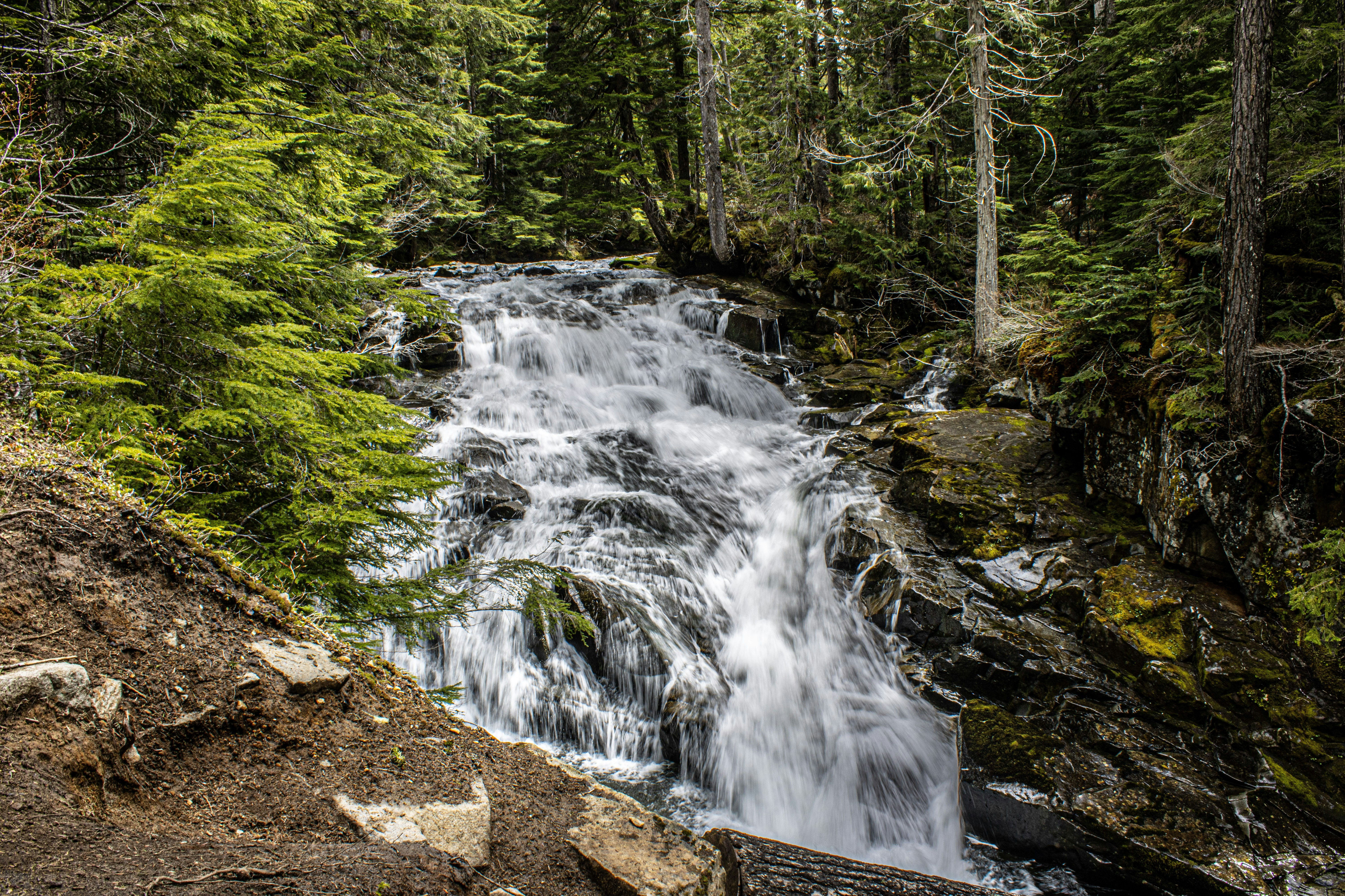 Photo by prphotography262