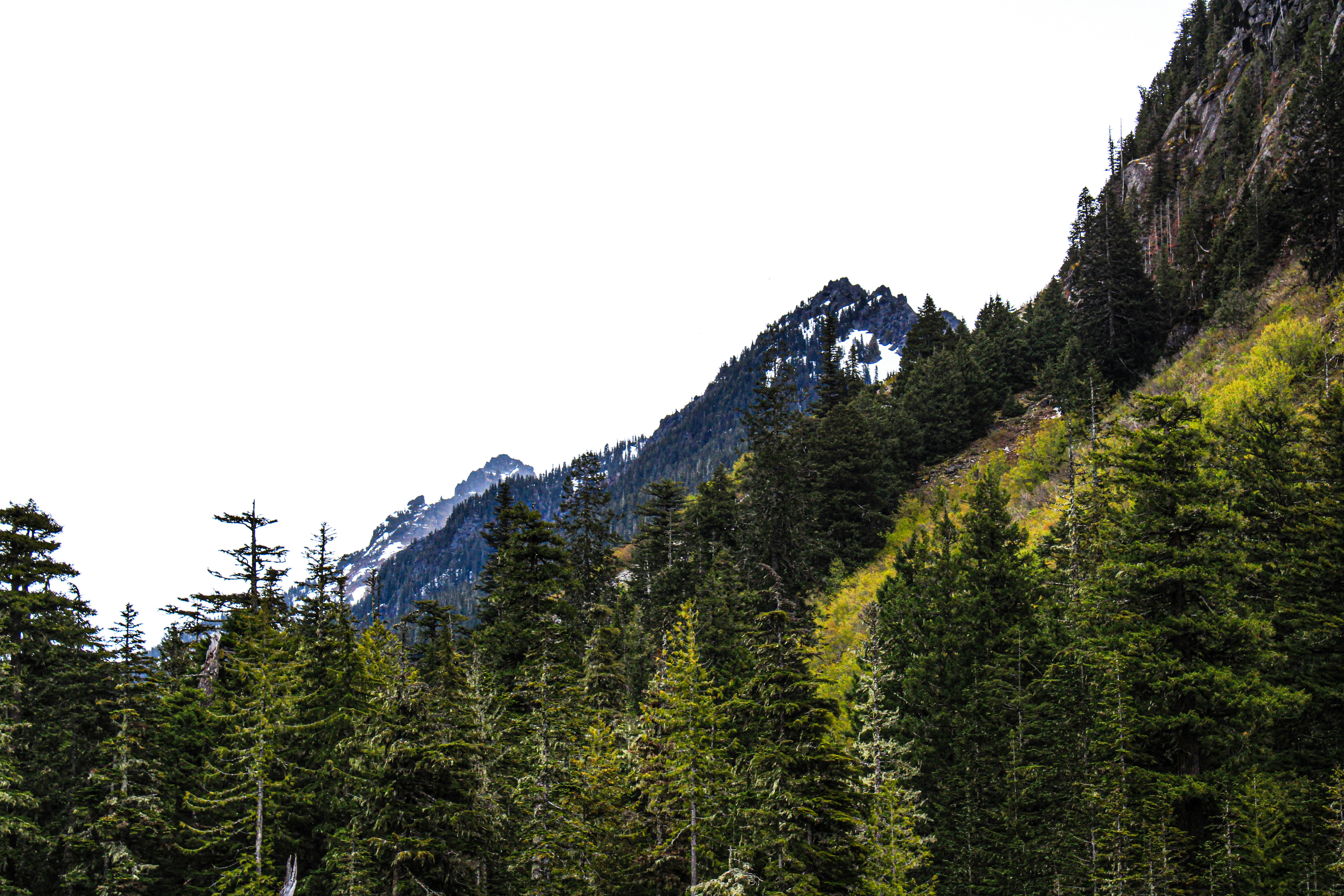 Photo by prphotography262