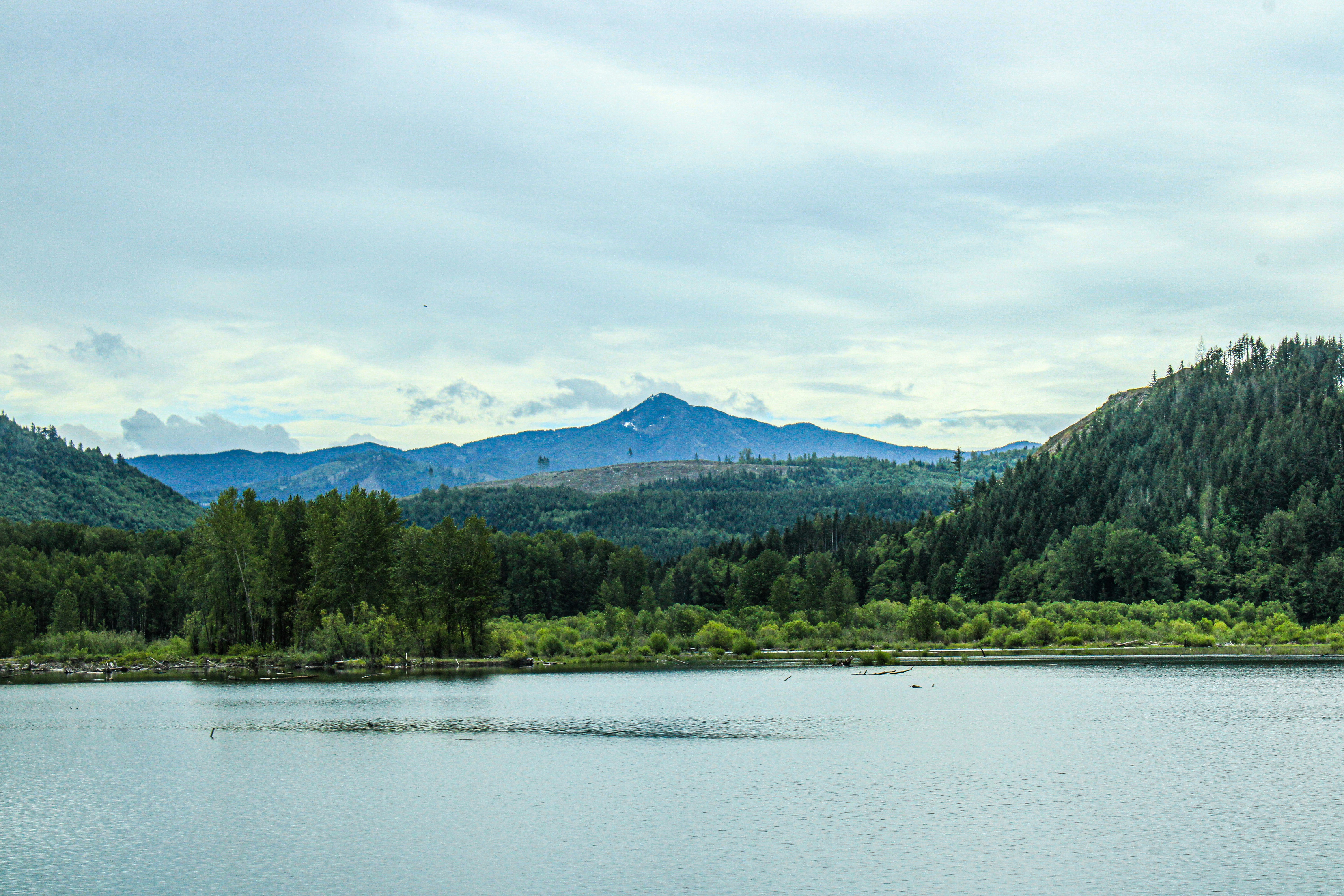 Photo by prphotography262