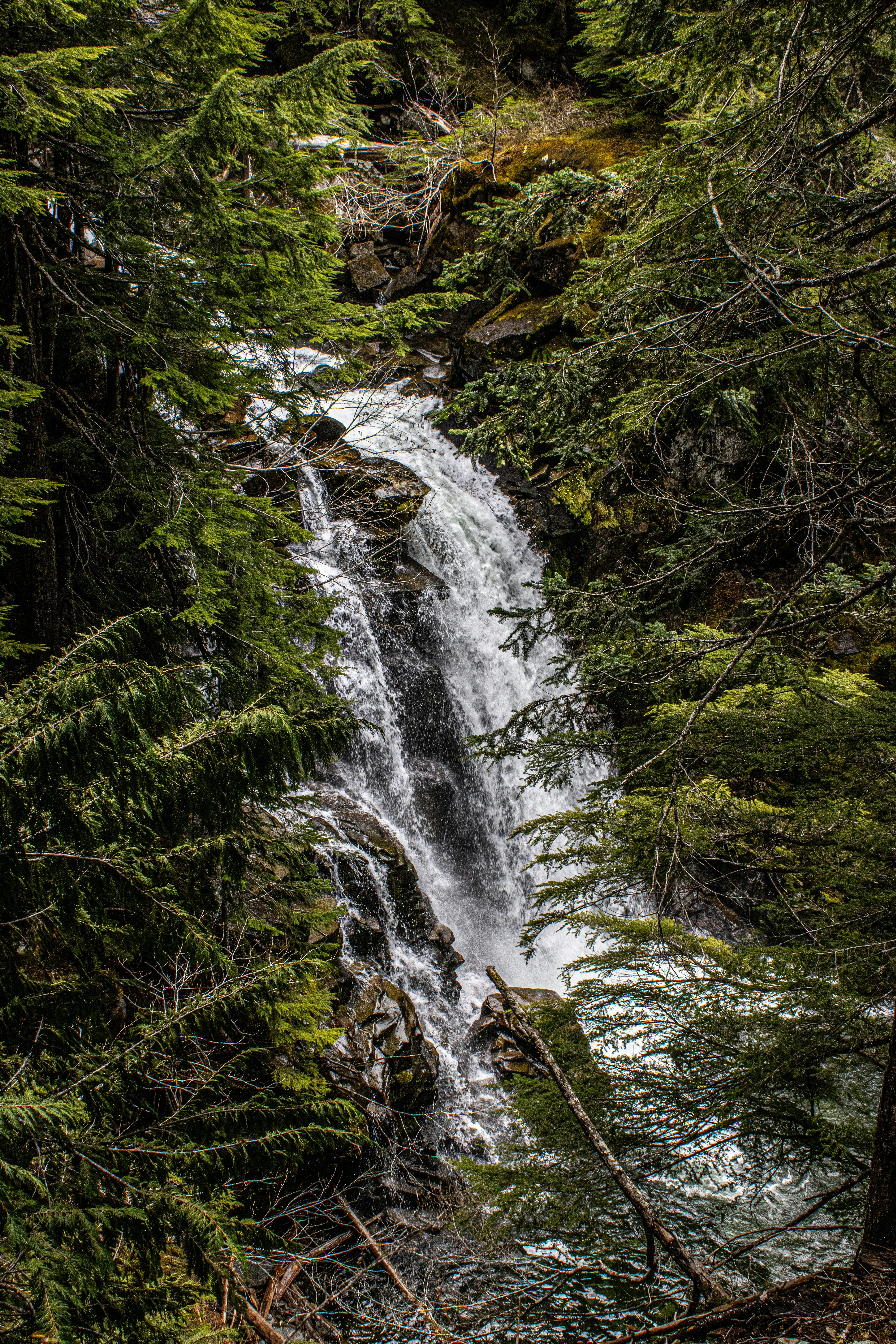 Photo by prphotography262