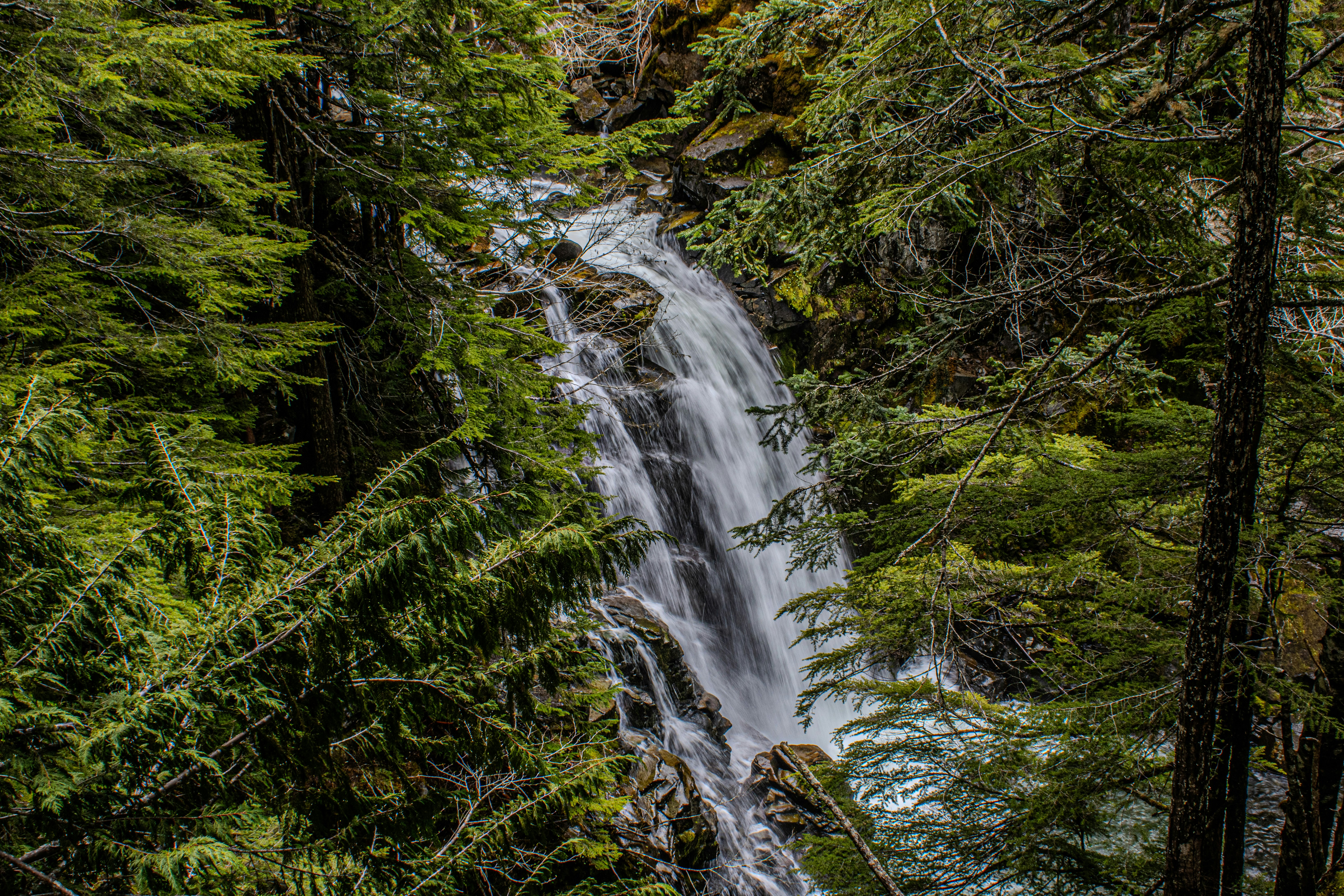 Photo by prphotography262