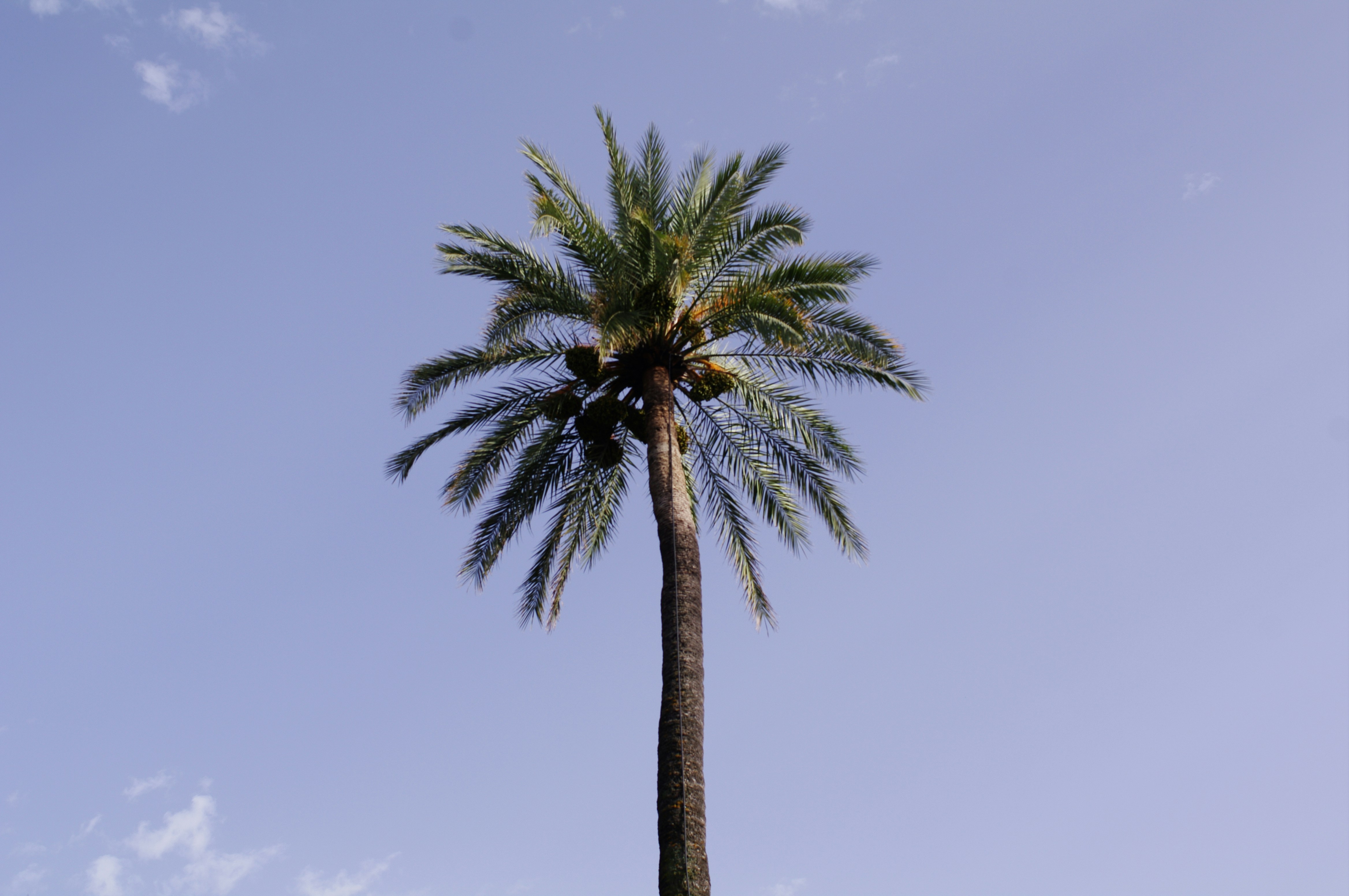 Photo by mparzuchowski