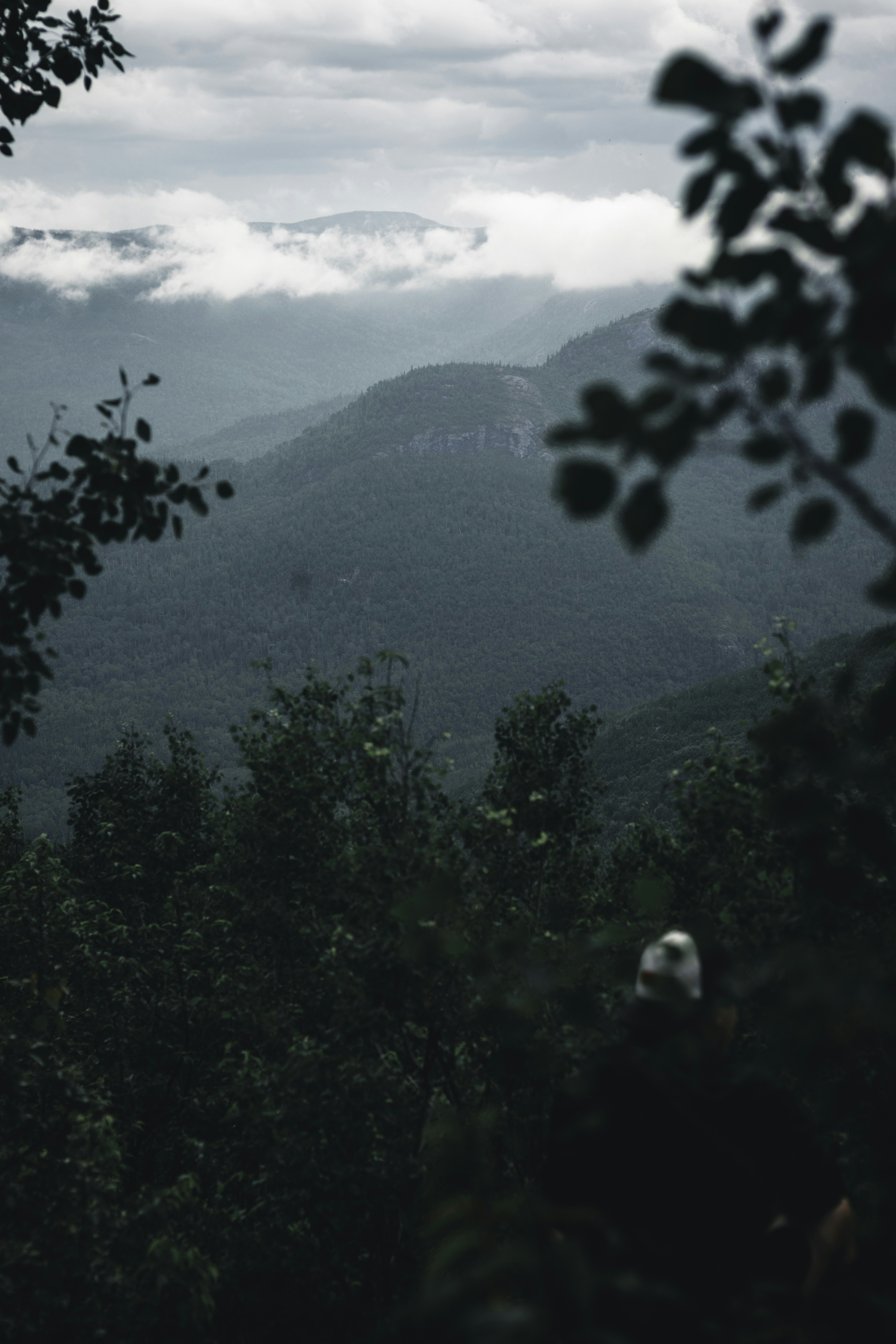 Photo by lureofadventure