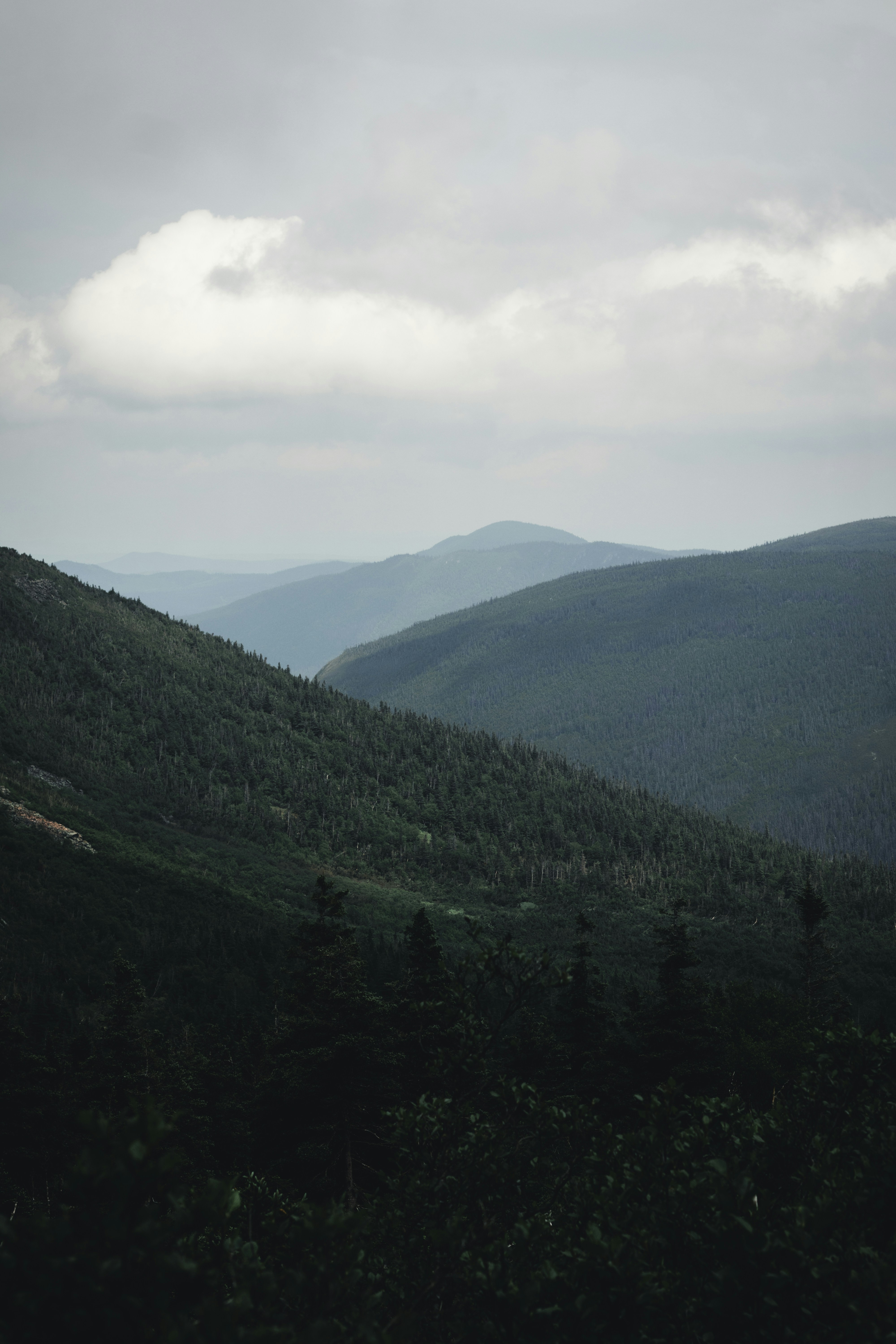 Photo by lureofadventure