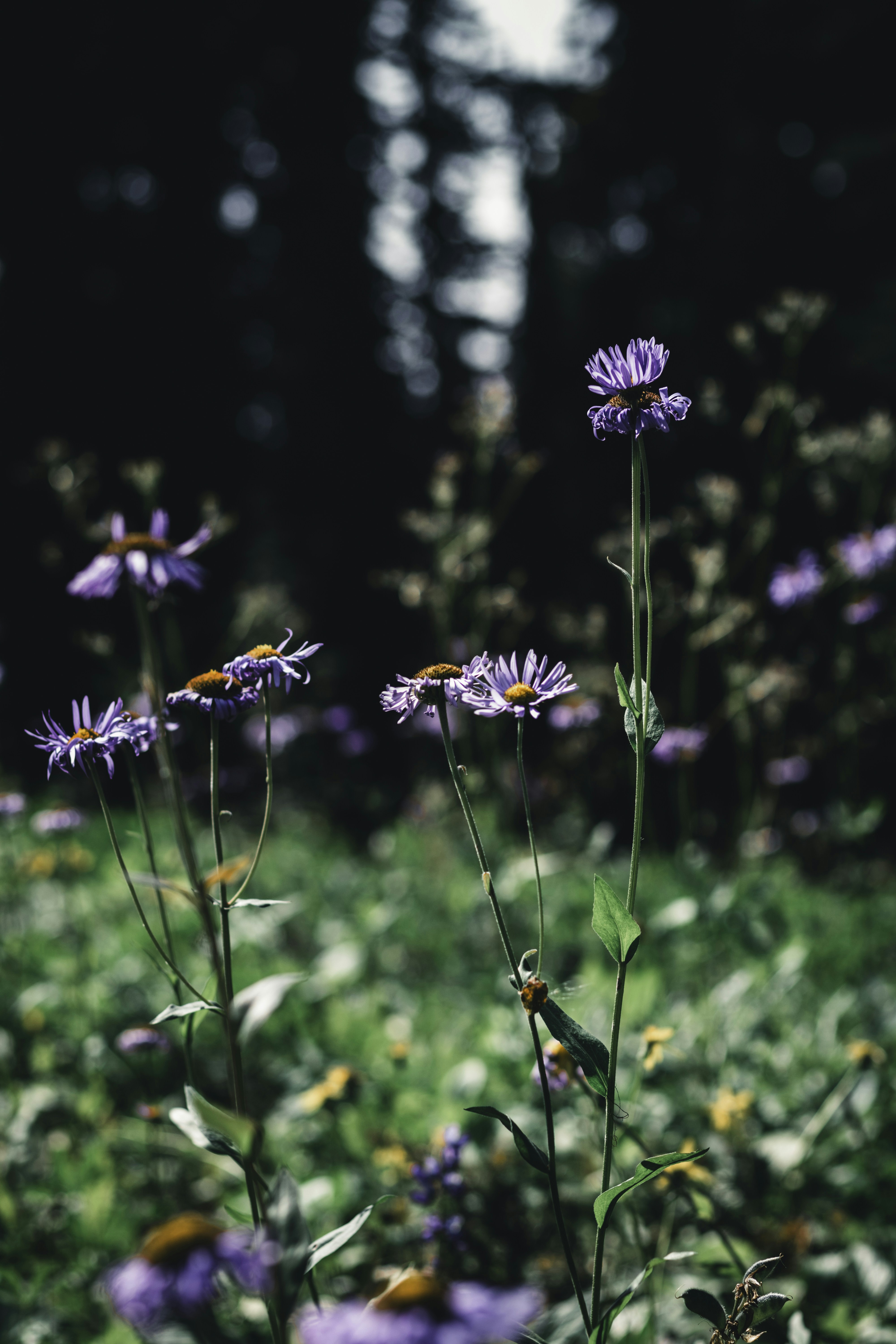 Photo by lureofadventure