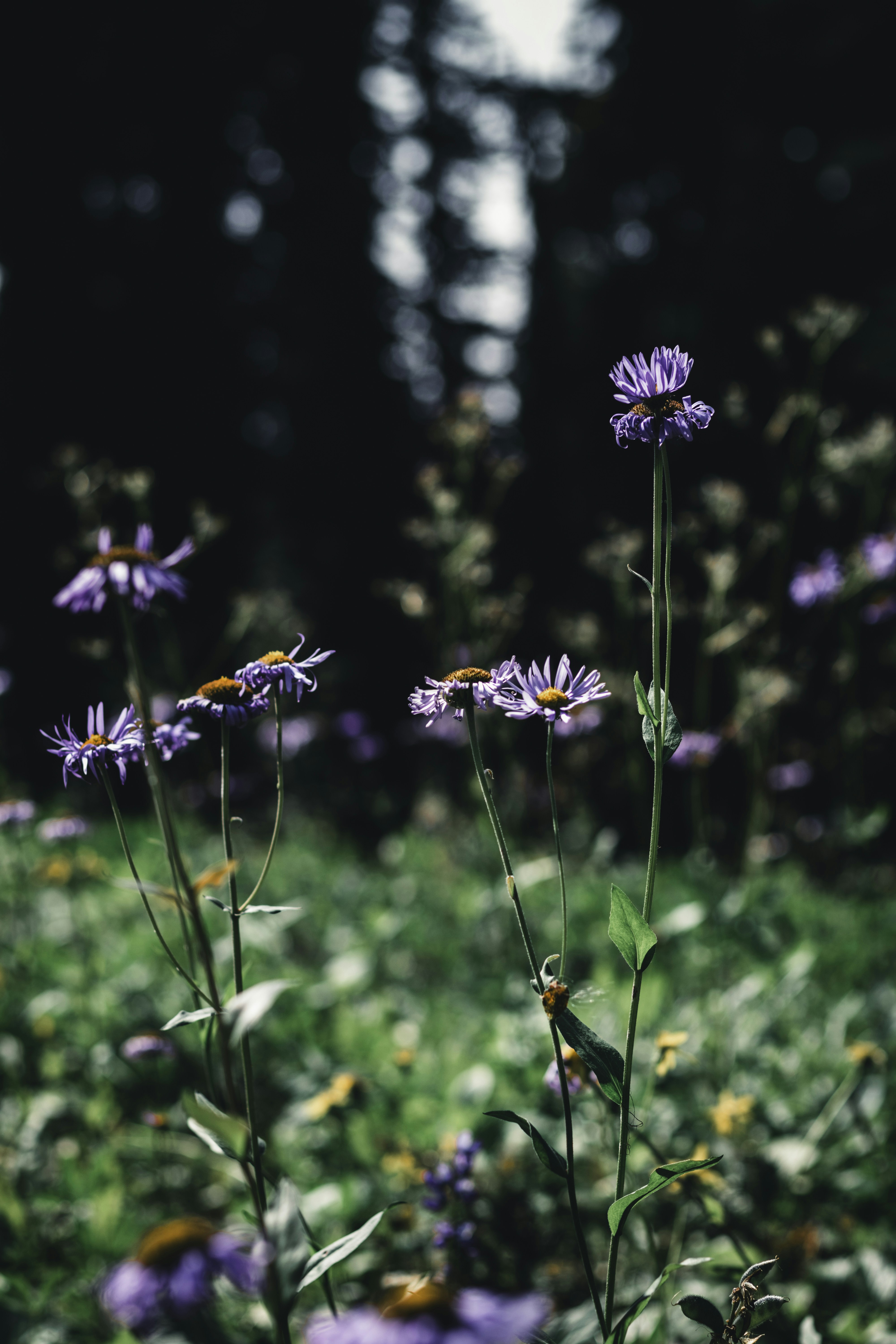 Photo by lureofadventure